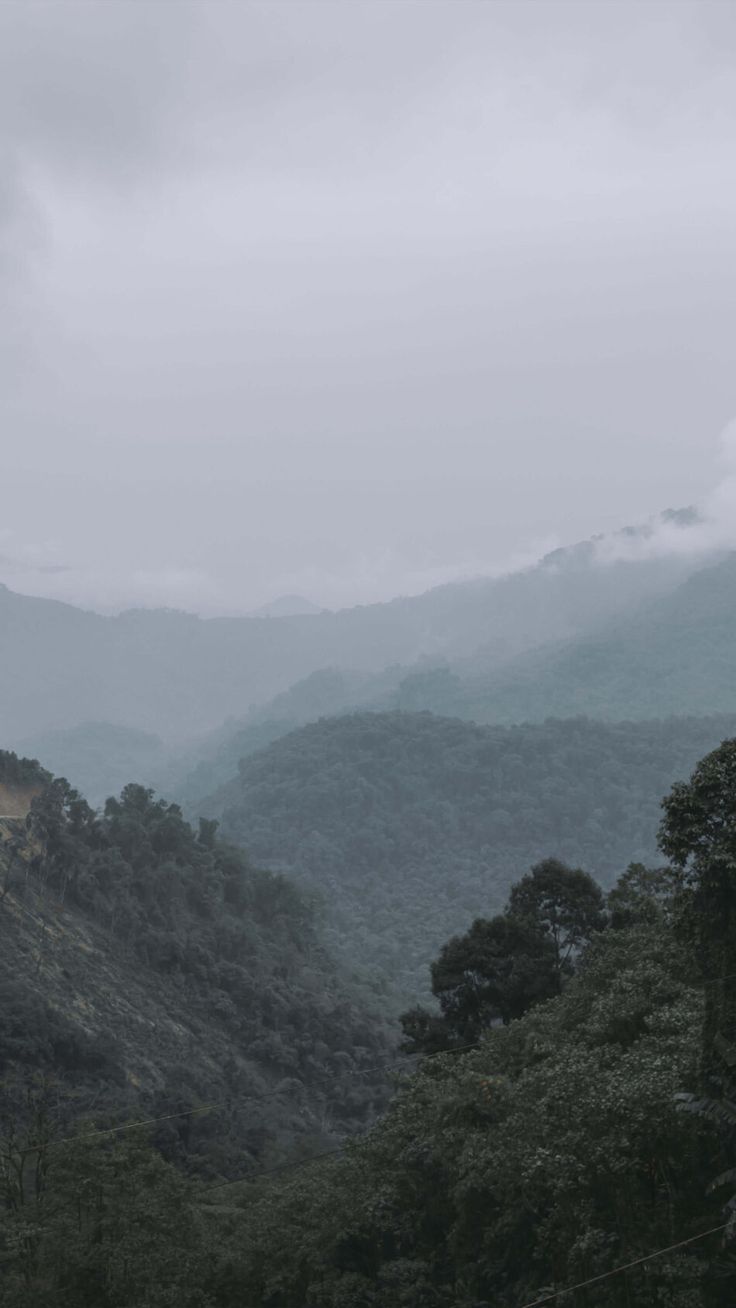 Forest Hill Valley Clouds 4K Ultra HD