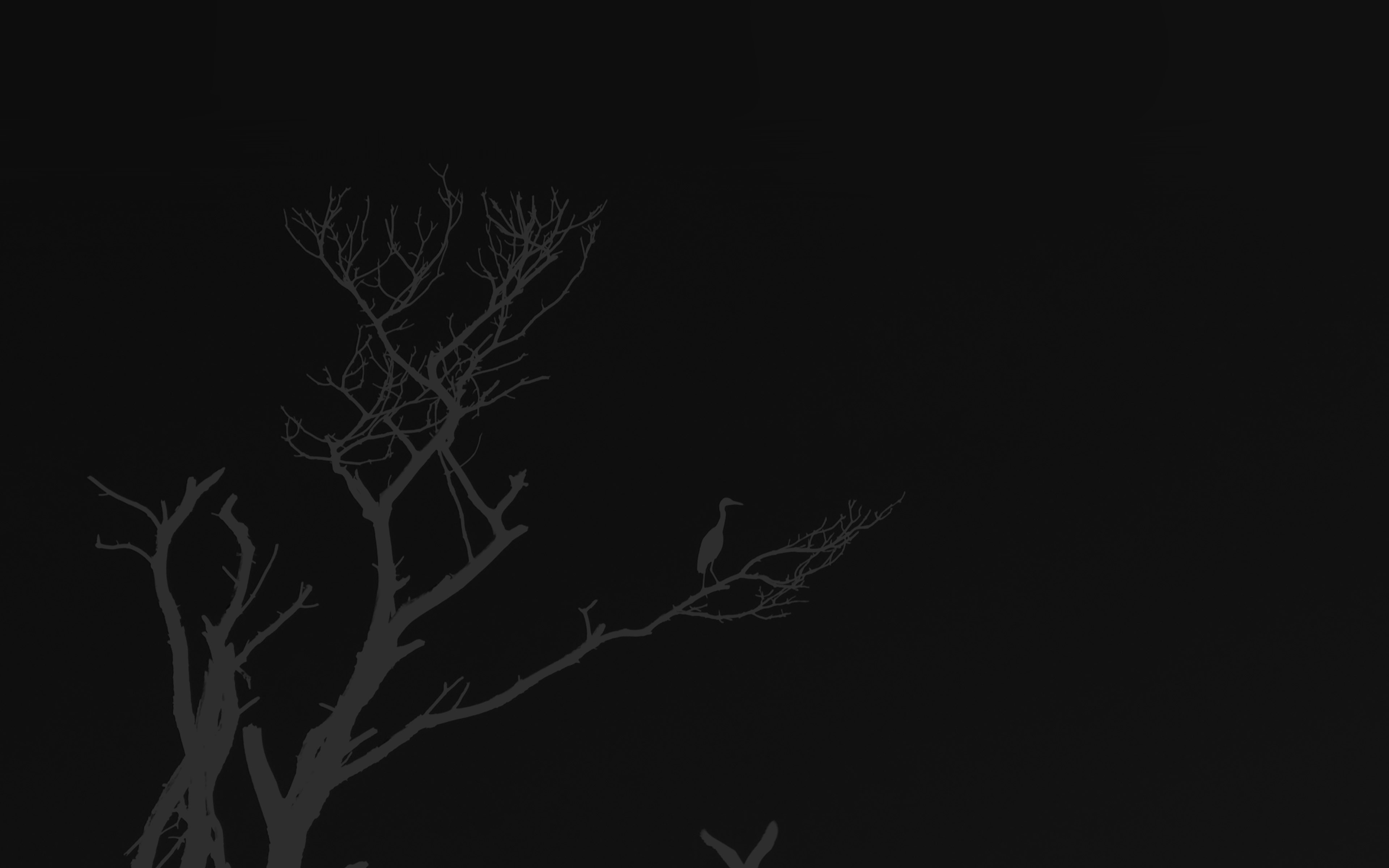 Bird Sunset Tree Dark Nature Minimal