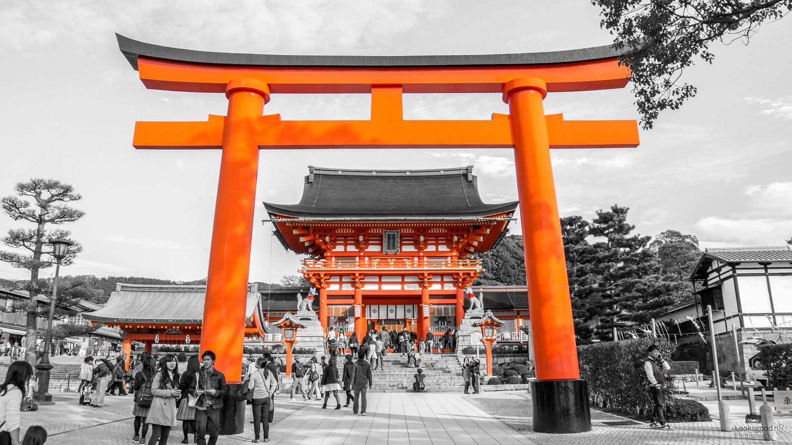 Fushimi Inari Taisha Kyoto Japan 4K Wallpaper / Desktop Ba