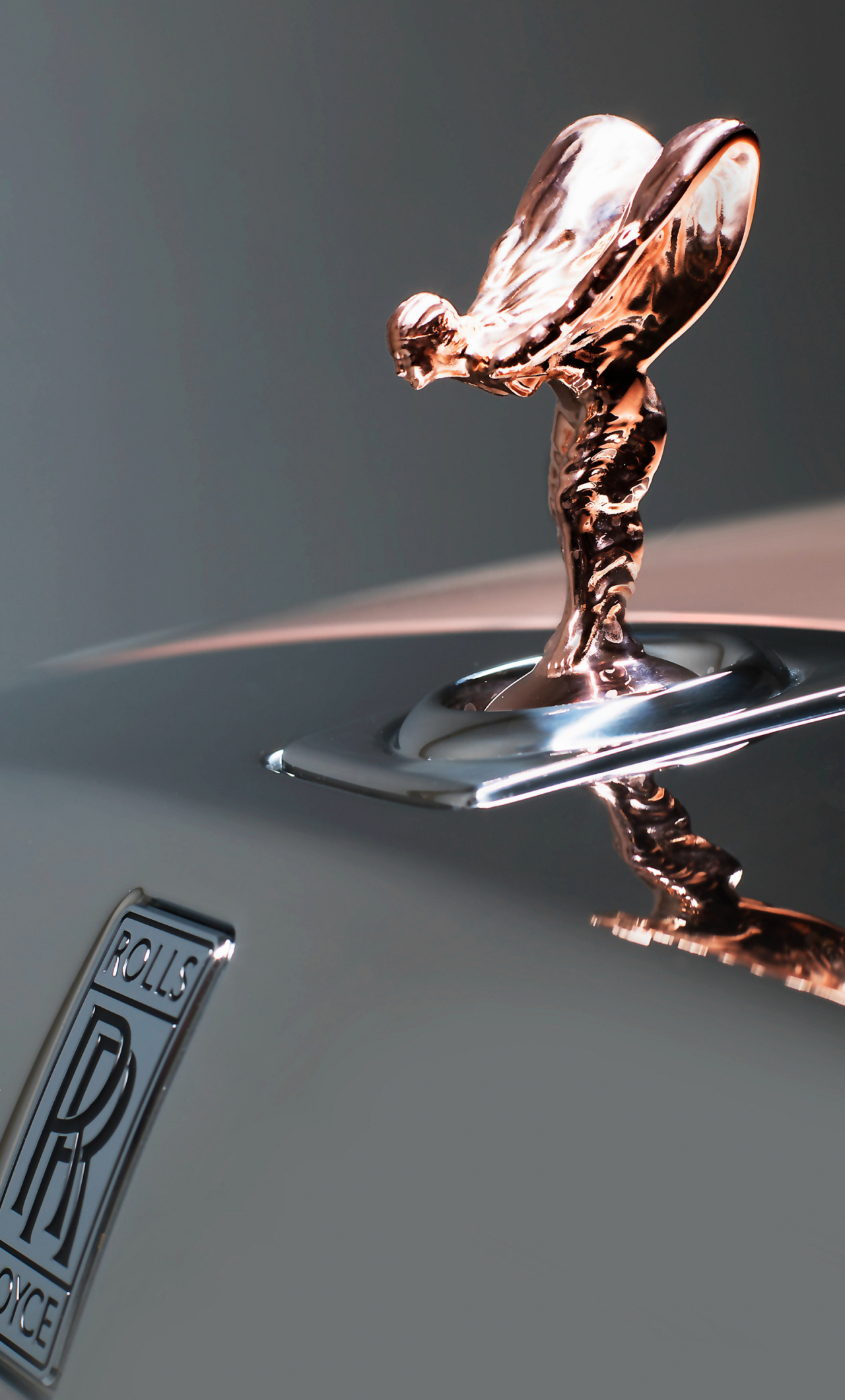 Download wallpaper 1280x2120 rolls