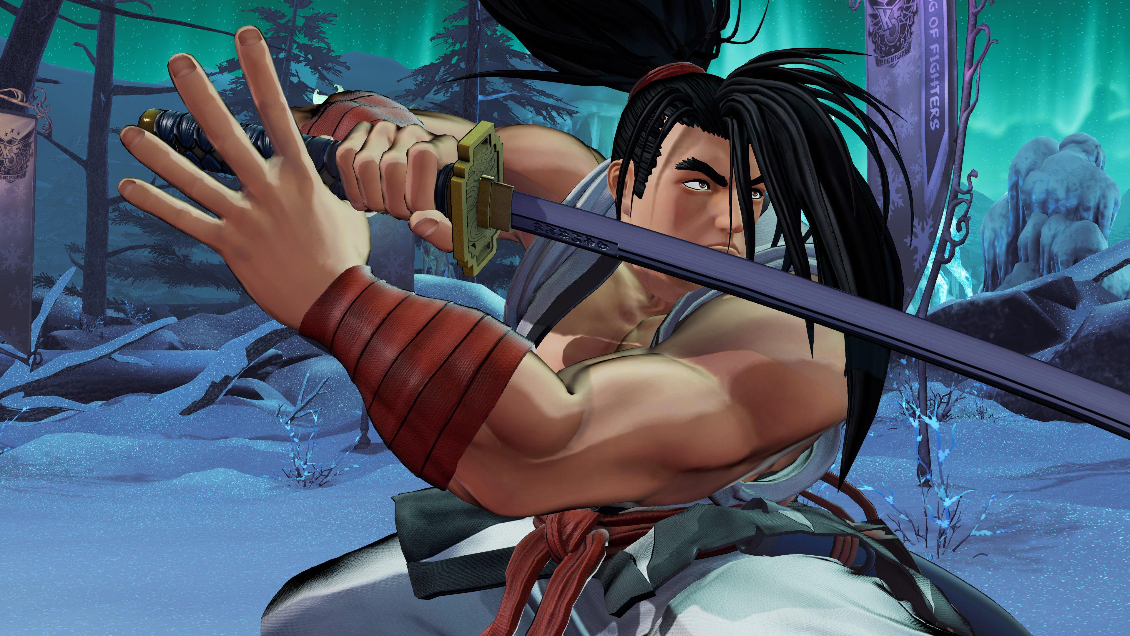 Haohmaru from the Samurai Shodown