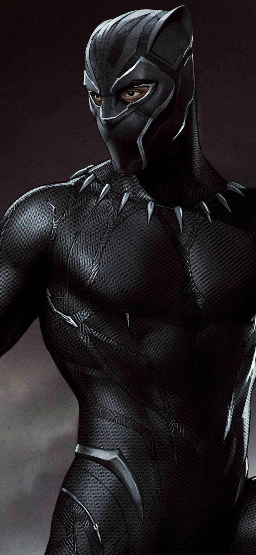 Black Panther Superhero Picture