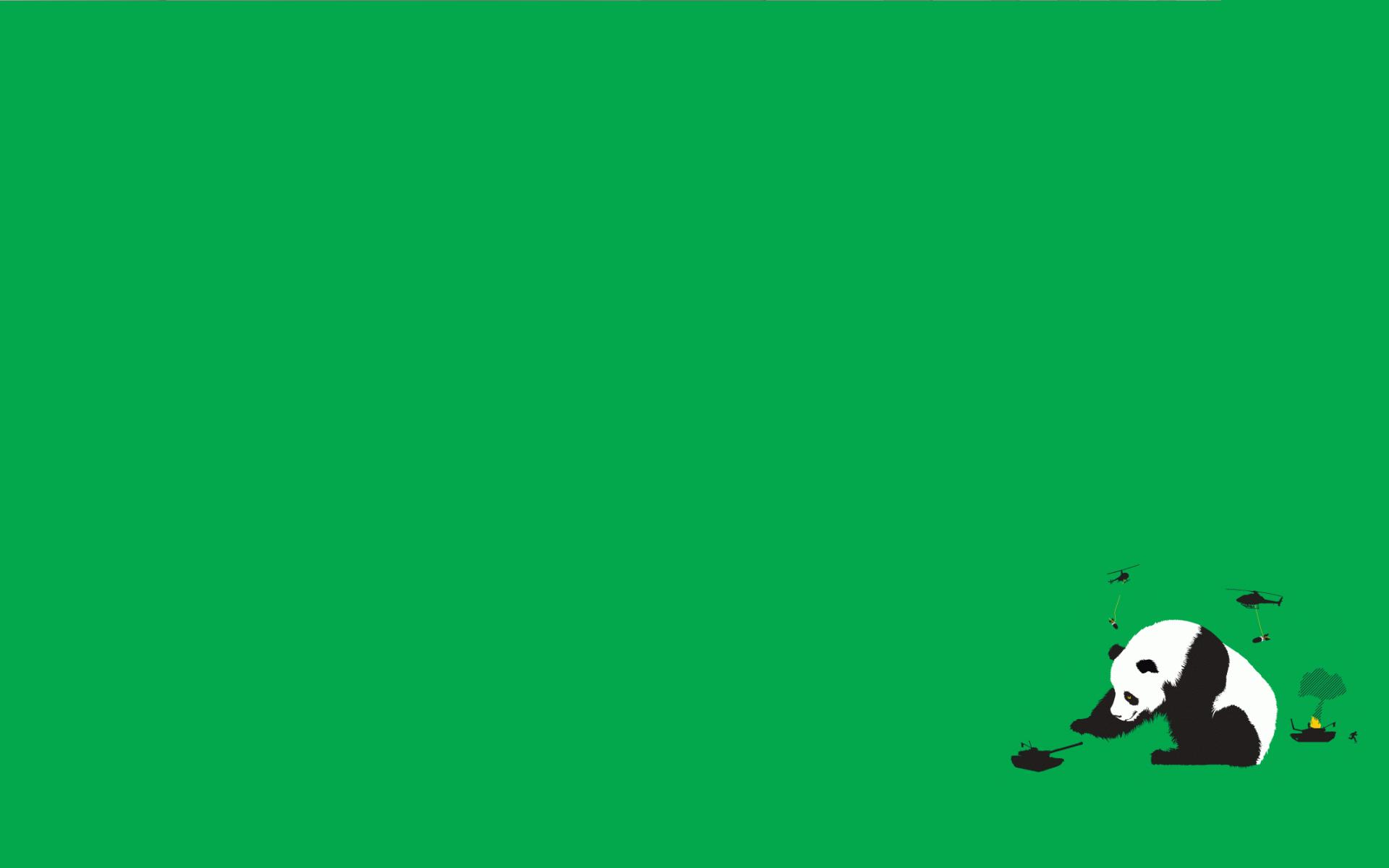 Panda Bear on a Green Background being