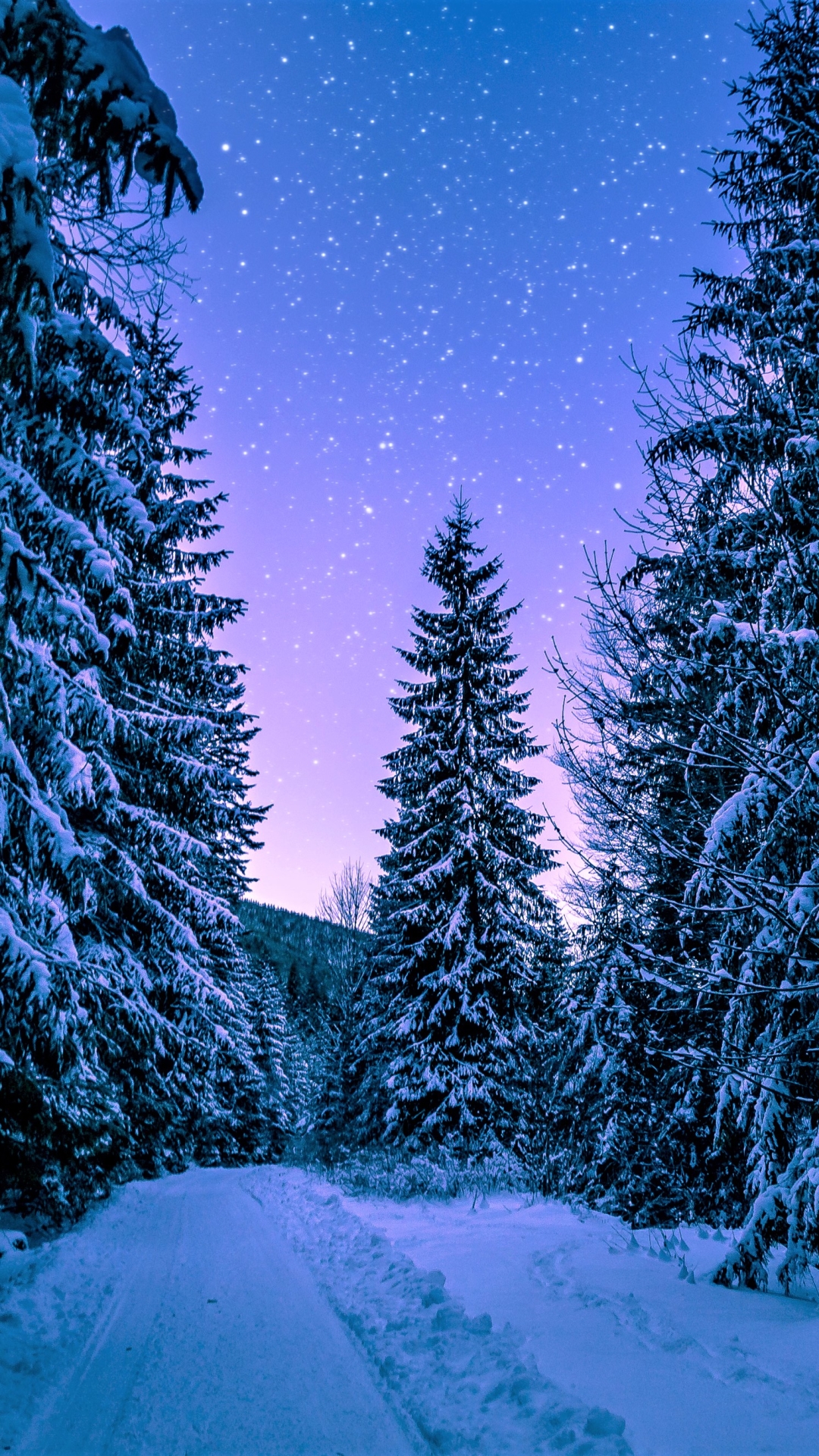 Starry Winter Night