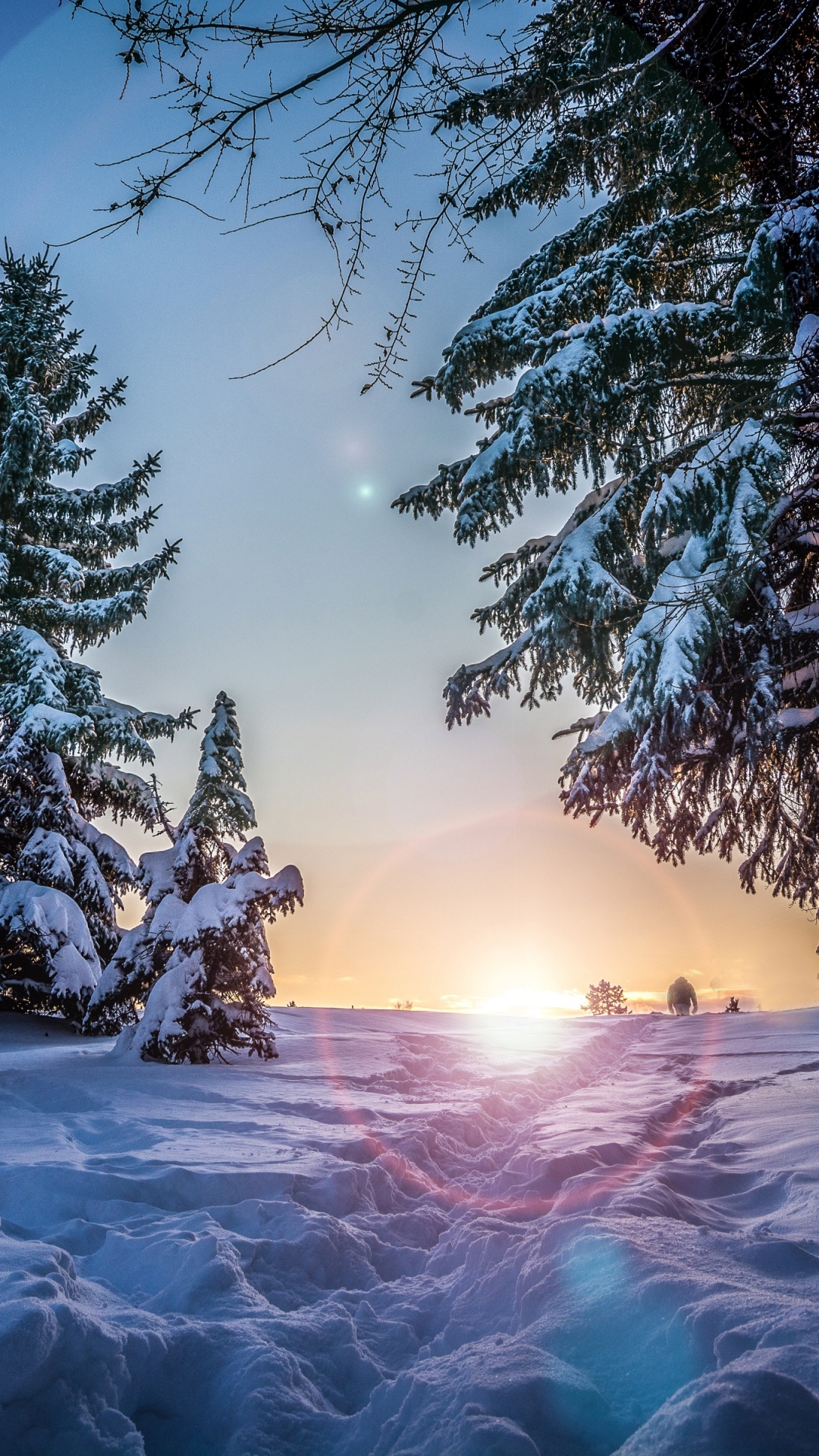 Winter Phone Wallpaper