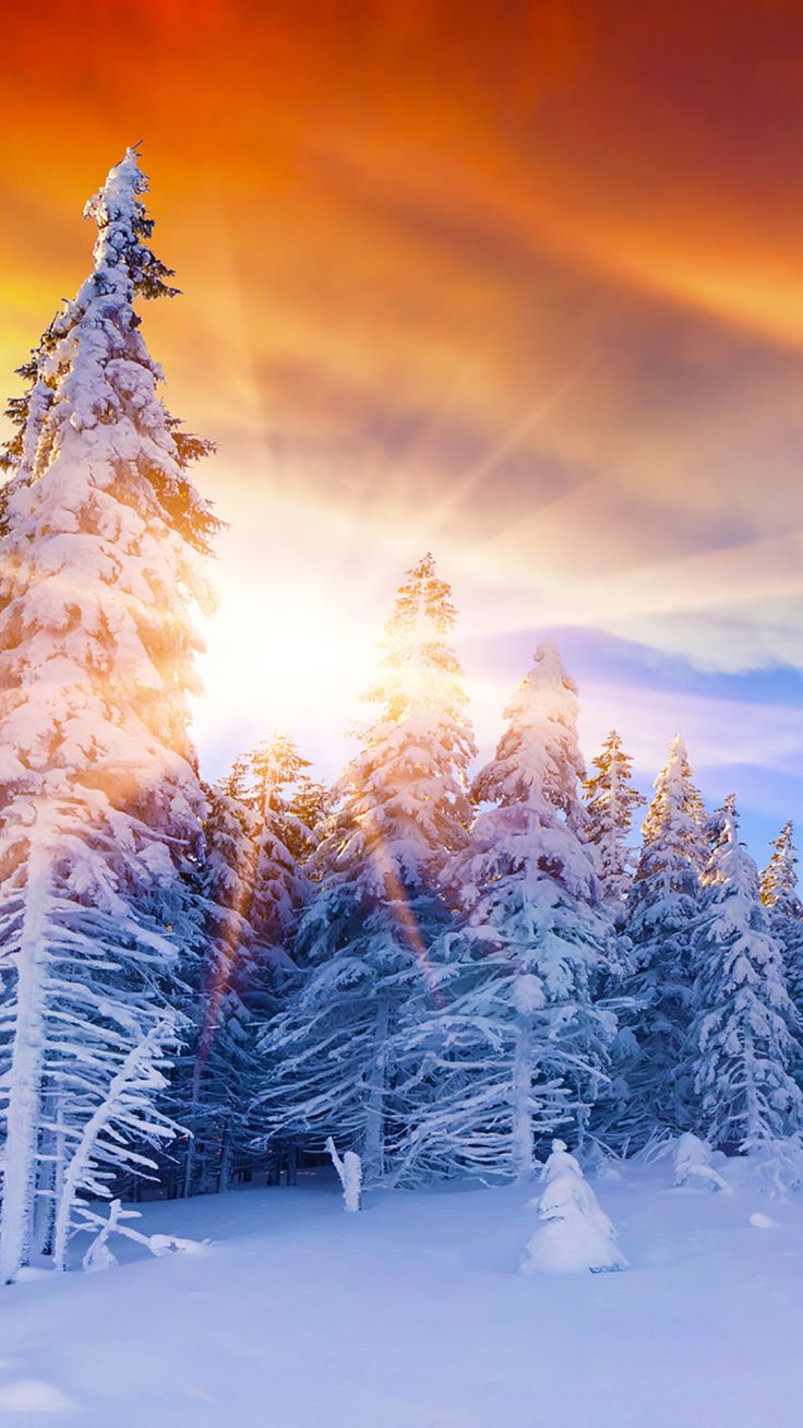 wallpaper, Wallpaper background