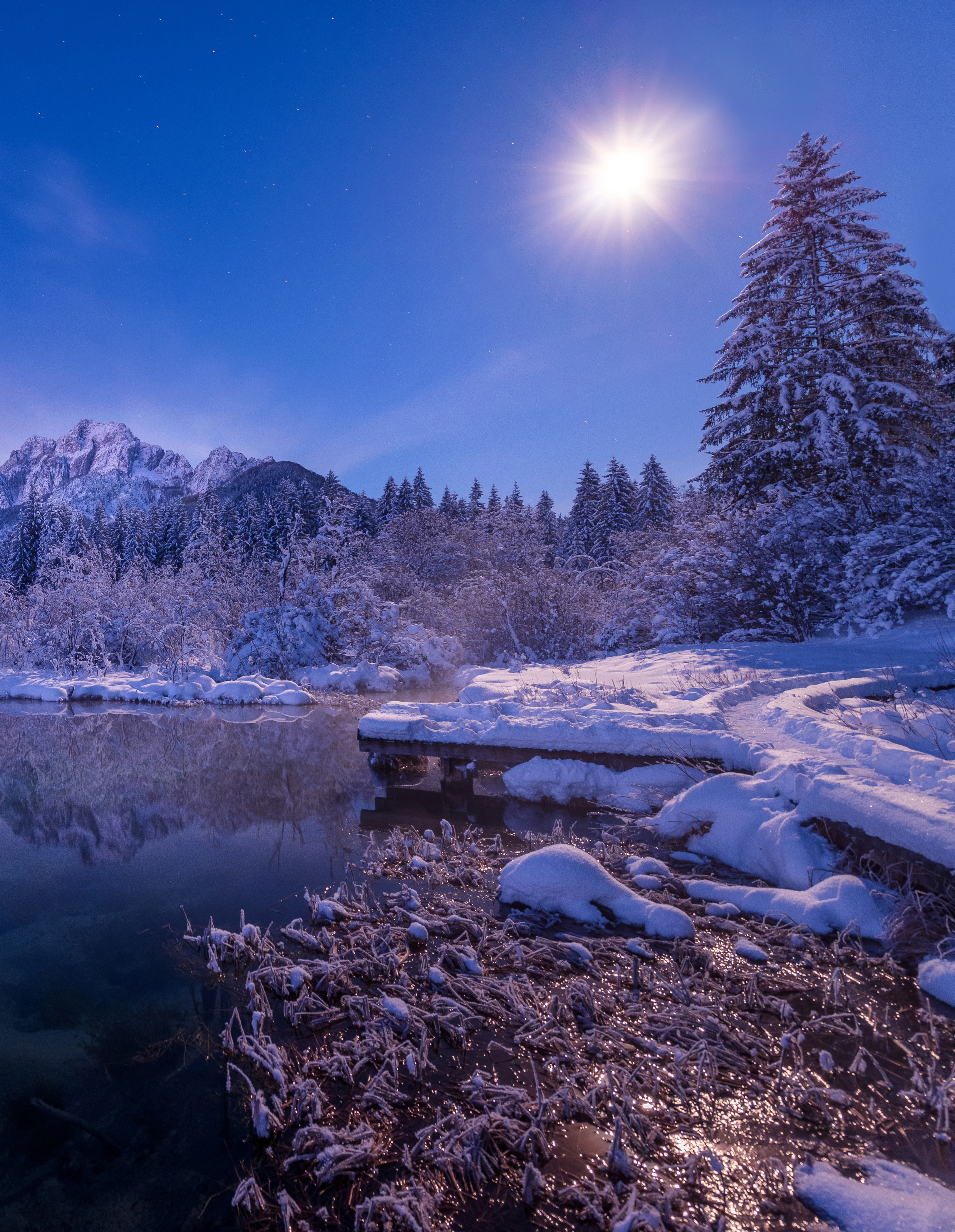 Photo Slovenia Zelenci Sun Winter