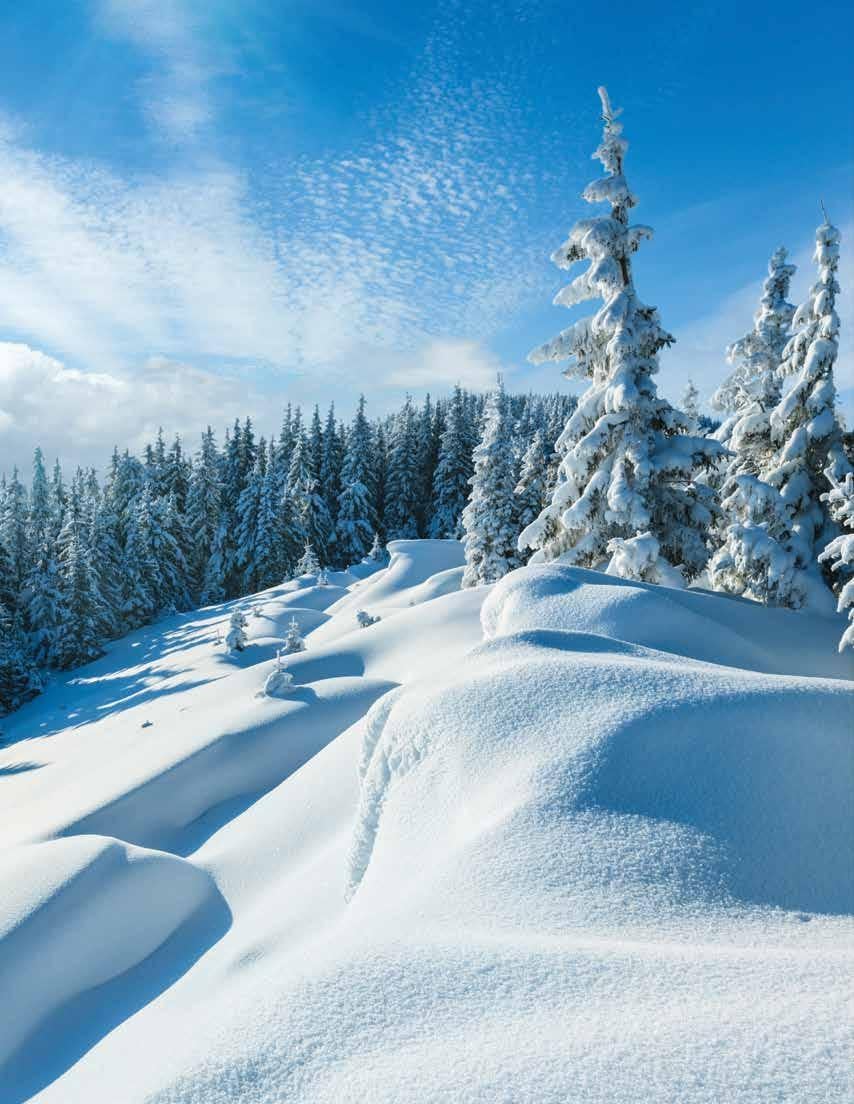 TACO News Winter 2023 By AGS Texas