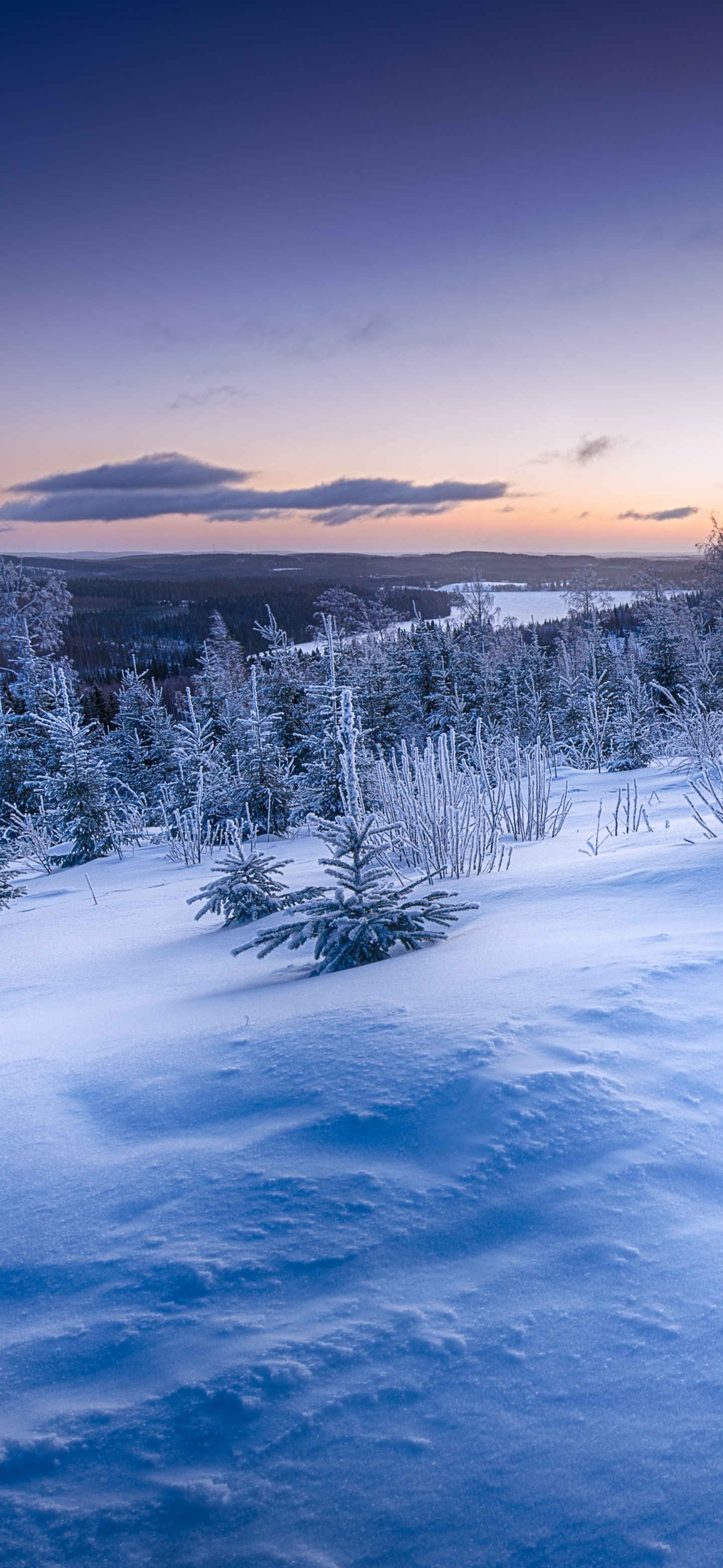 Earth Winter, Landscape, Horizon