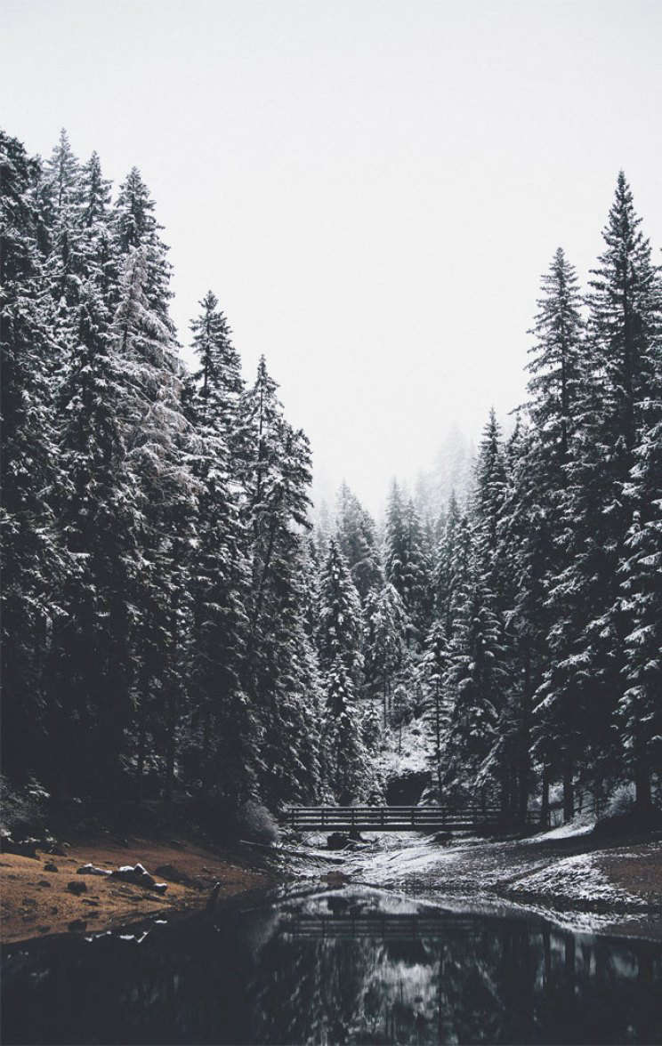 cozy winter iphone wallpaper