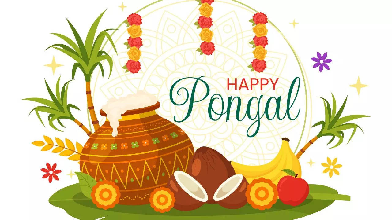 Pongal 2024 Wallpapers - Wallpaper Cave