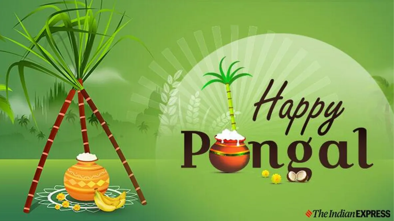 Happy Pongal 2024 Wallpapers Wallpaper Cave