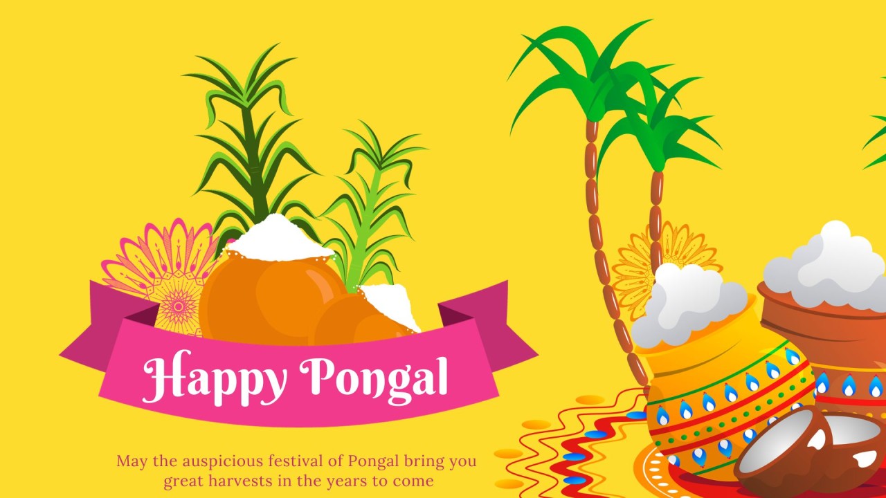 Pongal 2024 Wallpapers Wallpaper Cave