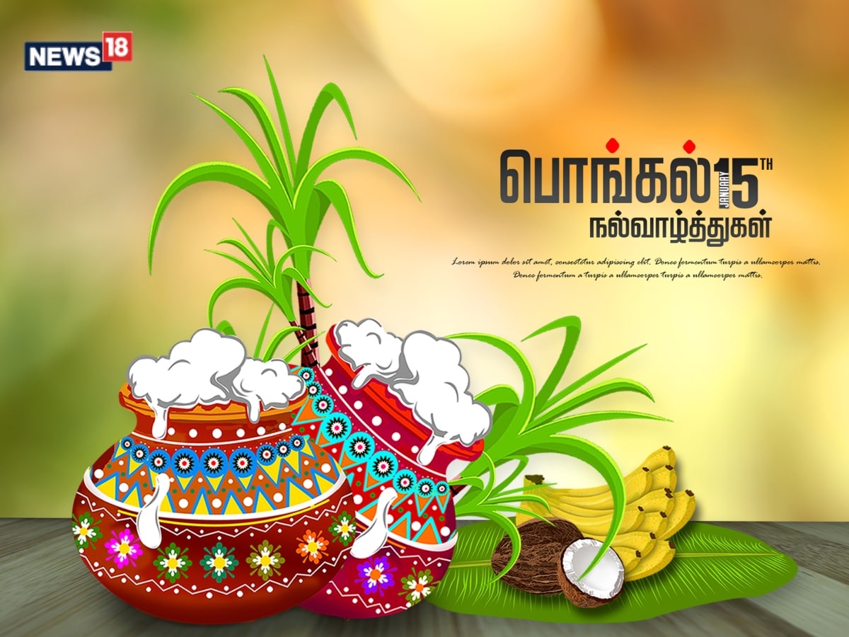 Happy Pongal 2024 Wallpapers Wallpaper Cave