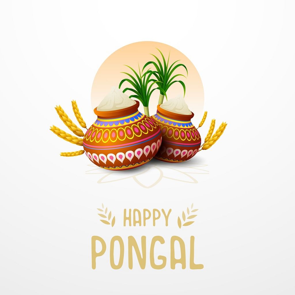 Happy Pongal 2024 Wallpapers Wallpaper Cave