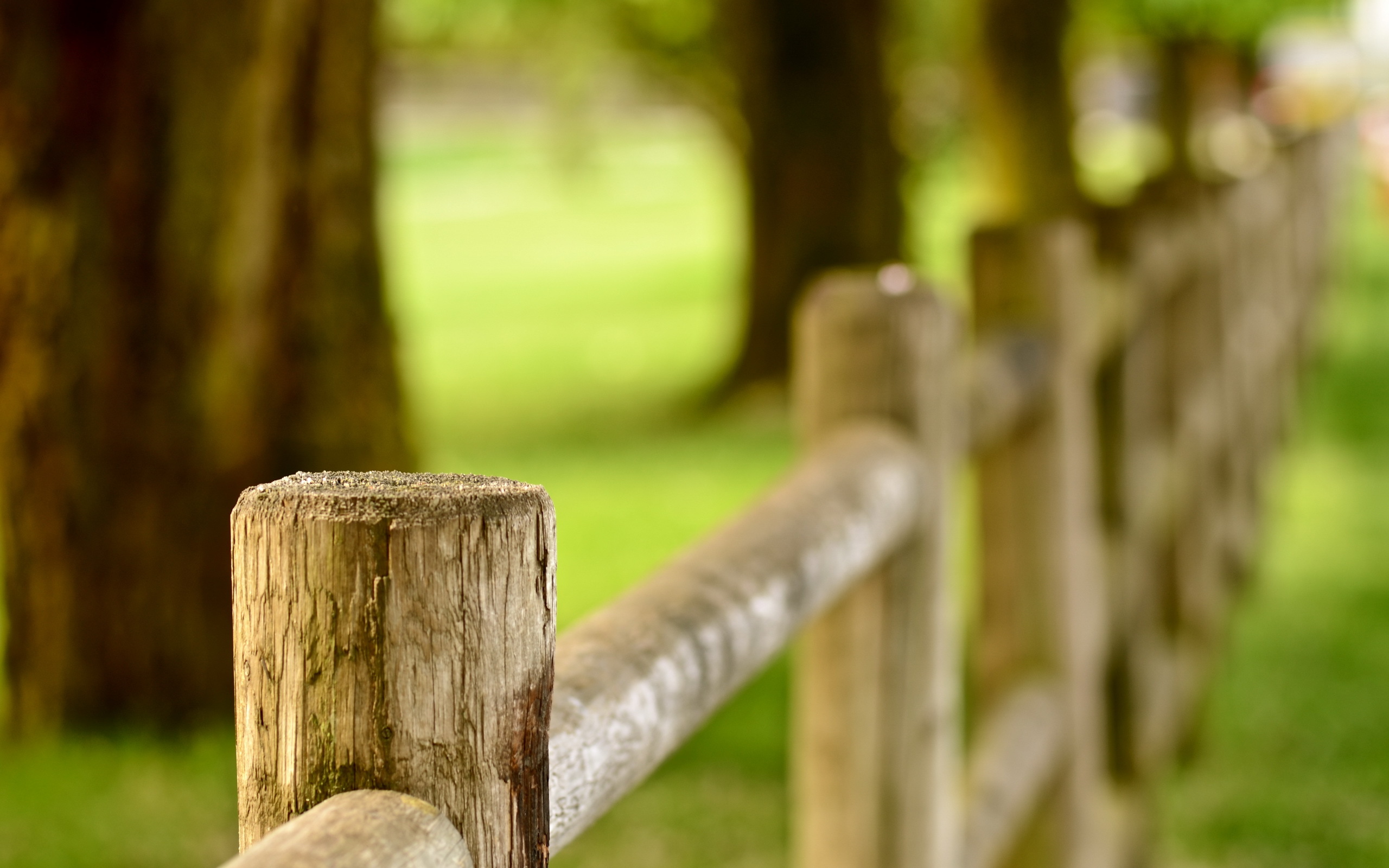 Man Made Fence HD Wallpaper