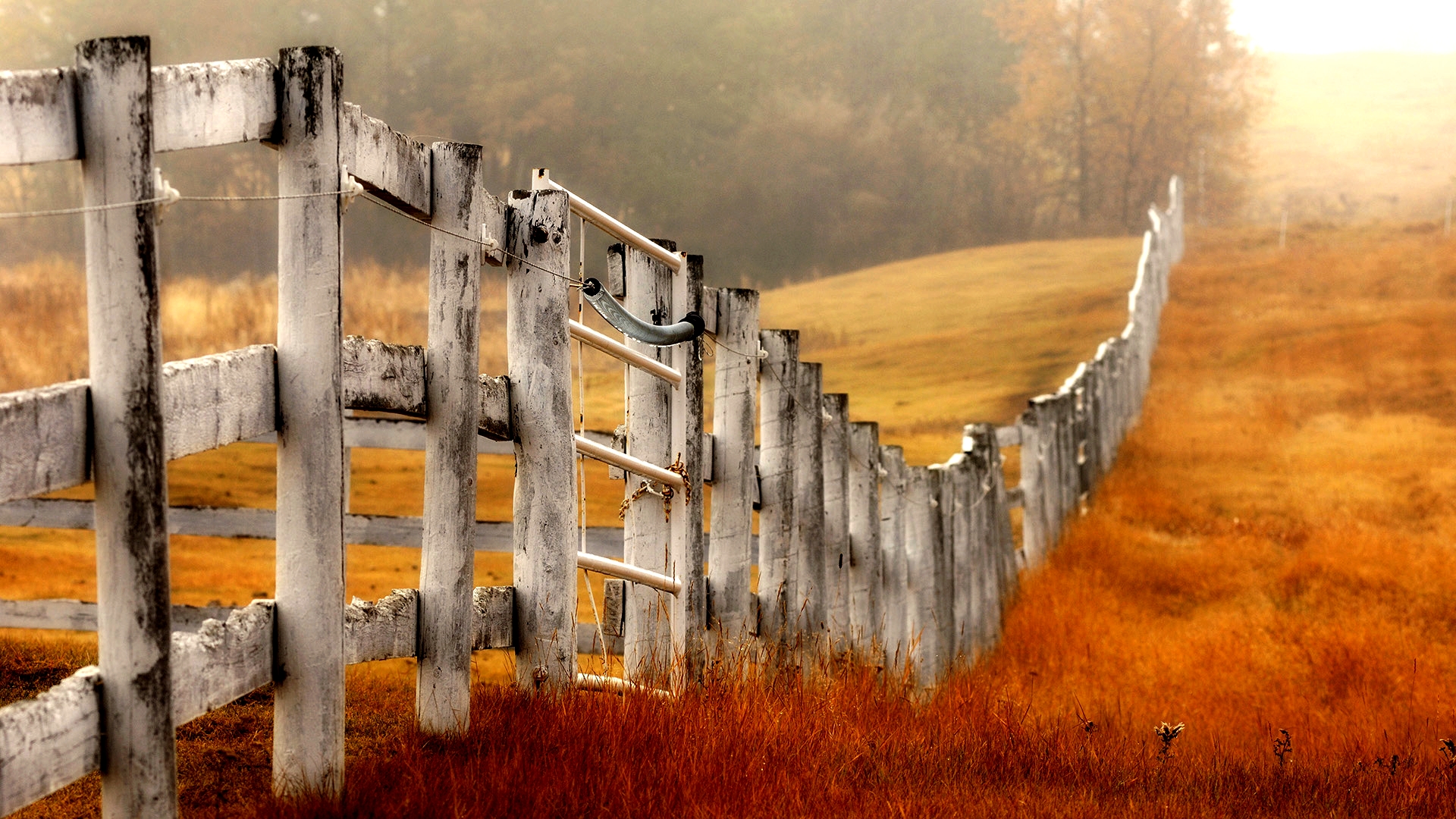 Fence in Autumn Field