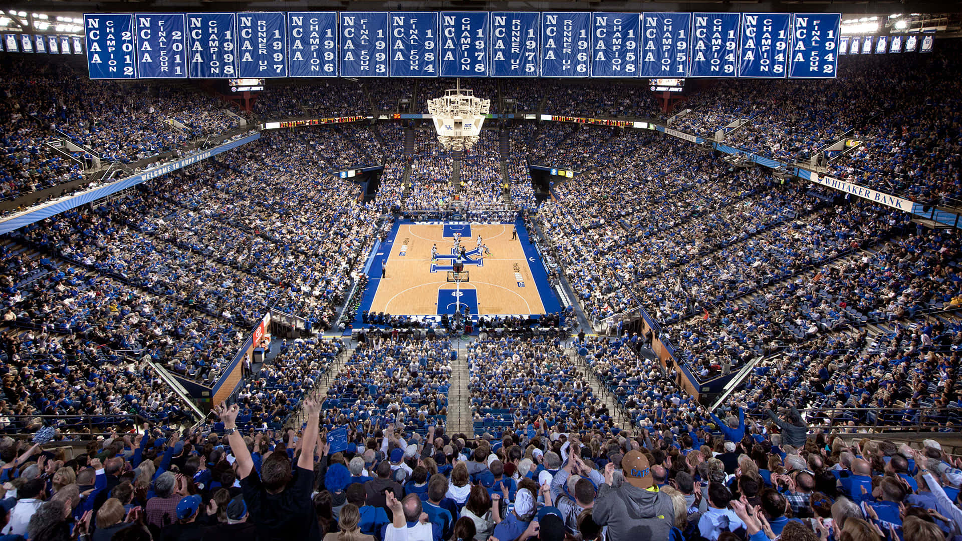Kentucky Wildcats Basketball Wallpaper