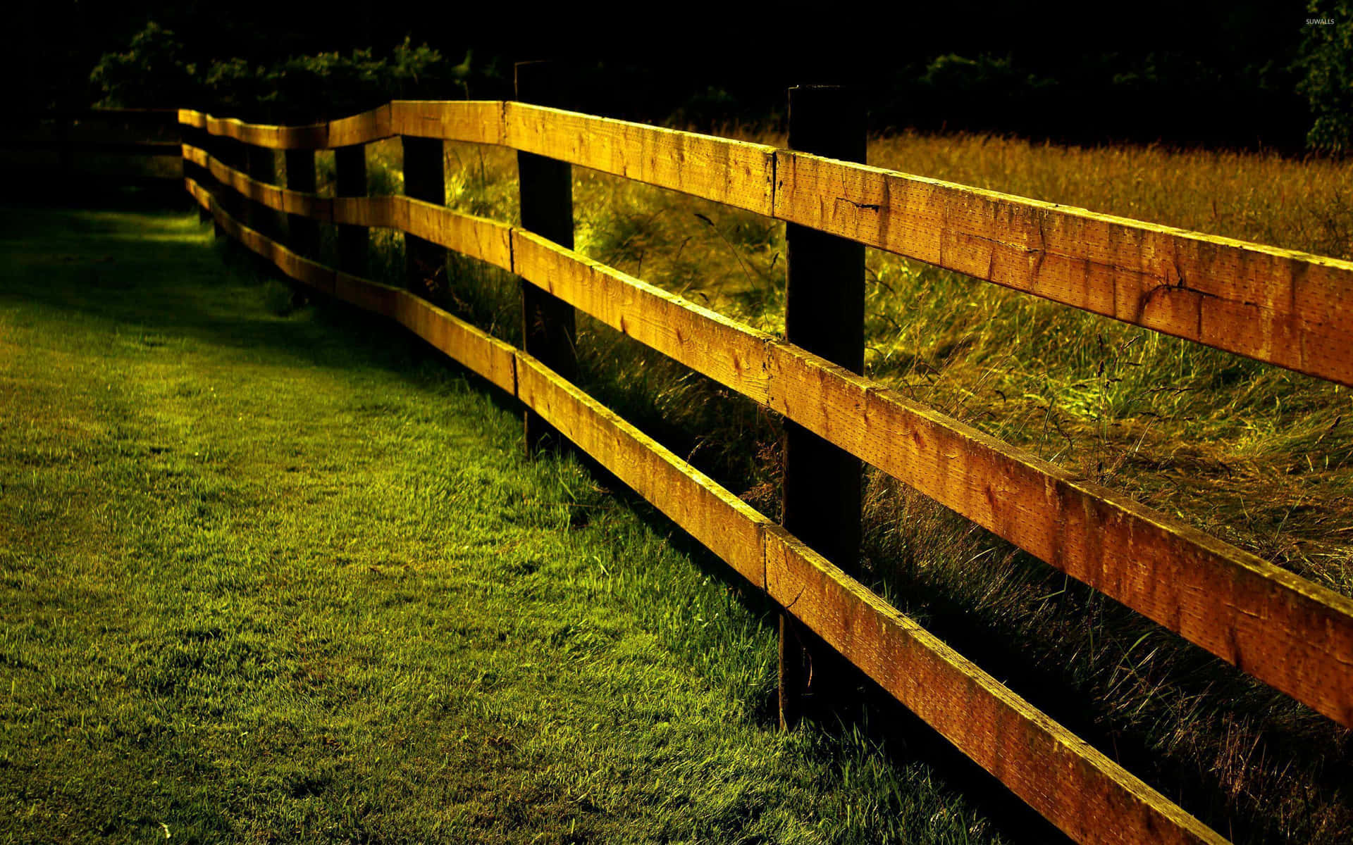 Fence Background
