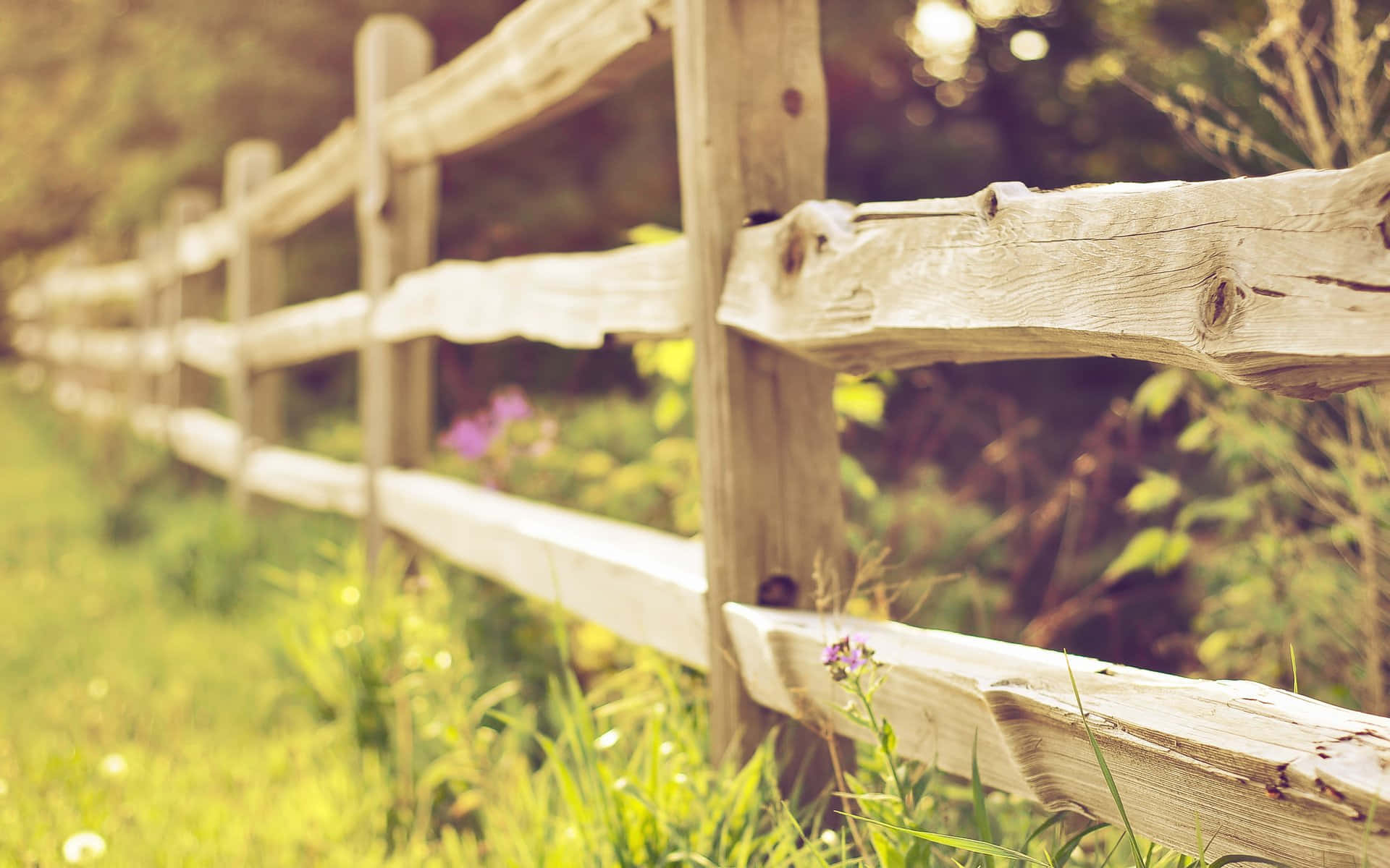 Fence Background