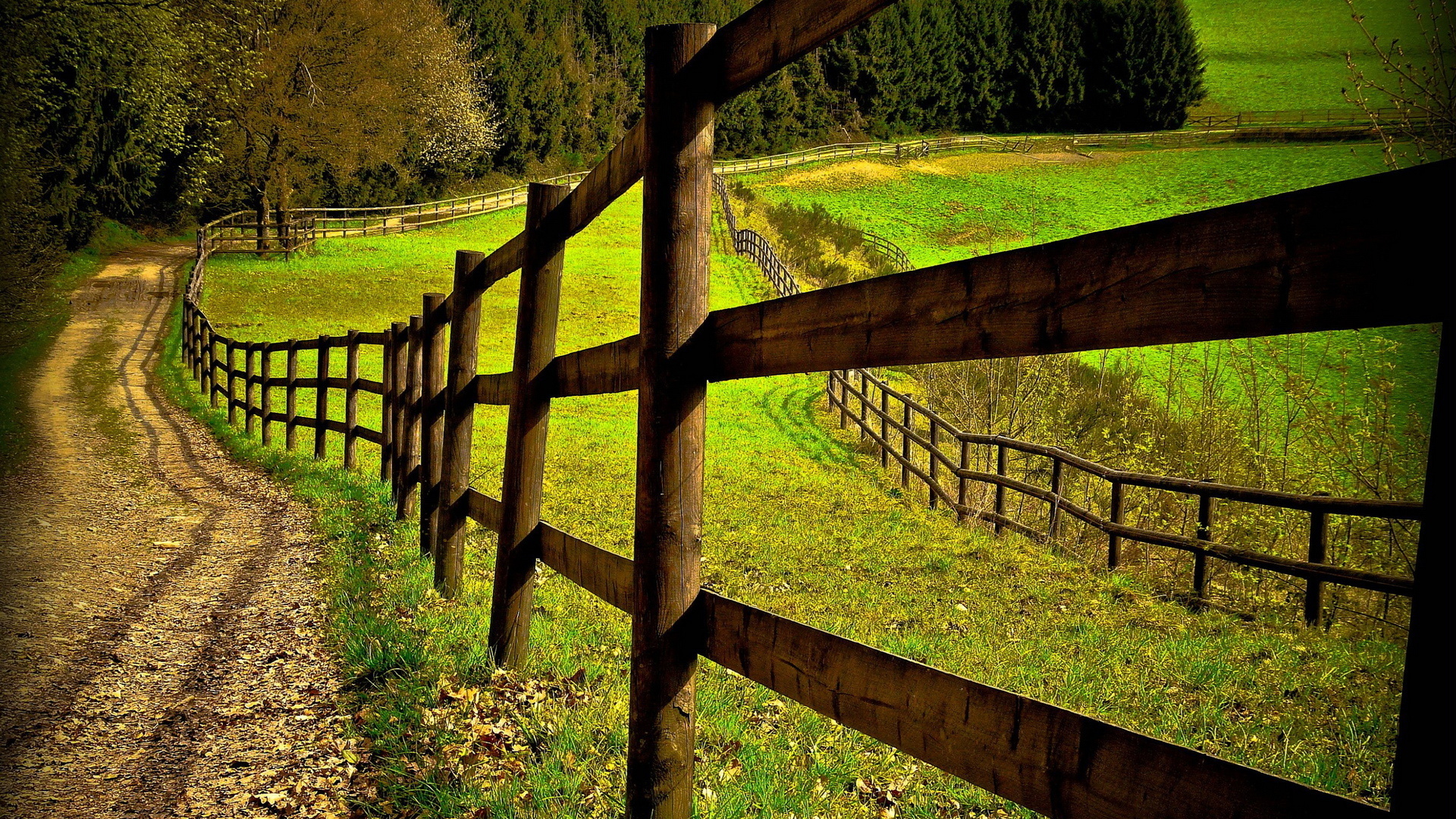 Man Made Fence HD Wallpaper