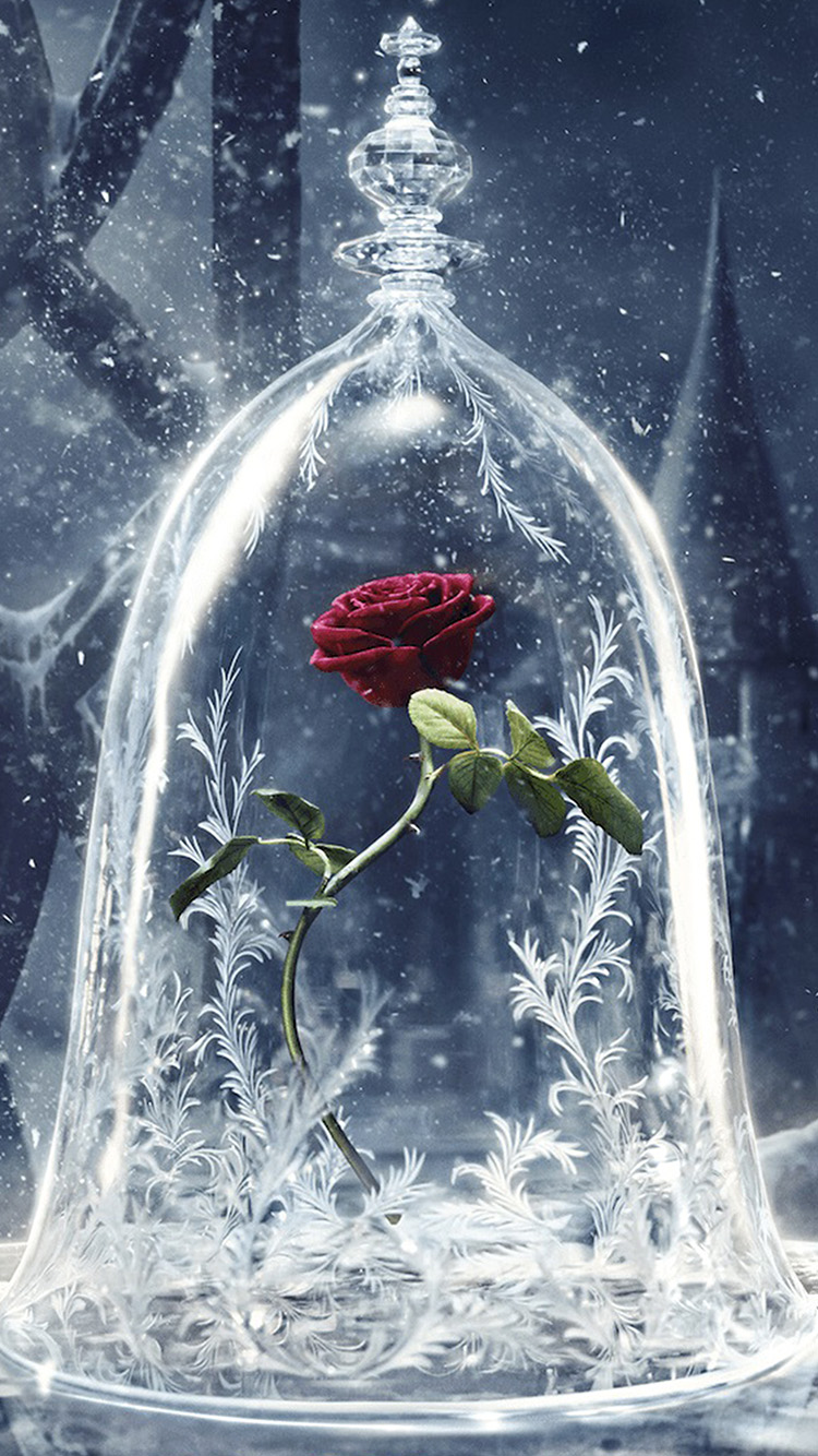 Disney Beauty Beast Art Illustration