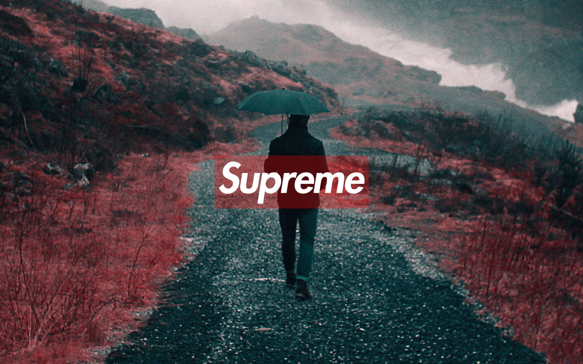 Download Supreme Wallpaper for FREE
