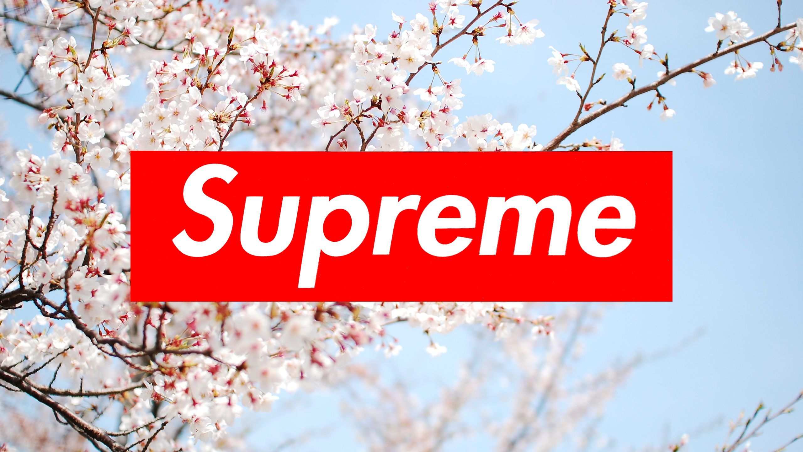 Supreme Wallpaper Full HD Free Download