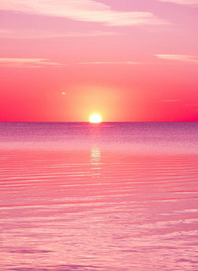 Pink Sunset iPhone Wallpaper