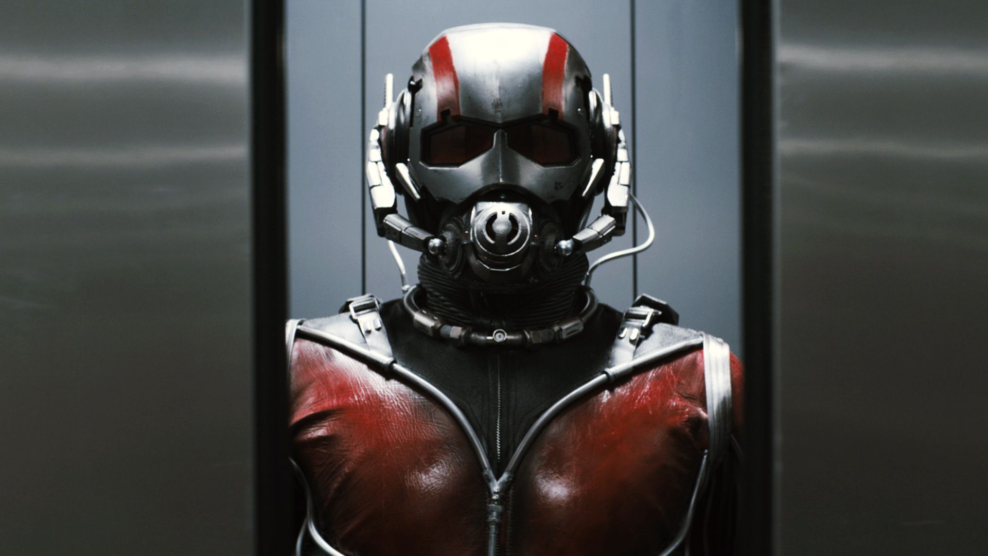 Ant Man
