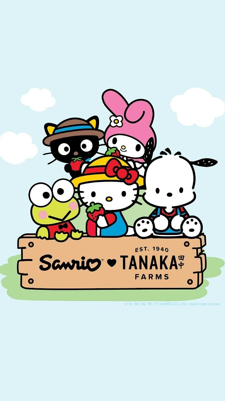 pantalla sanrio, Dibujo oso de peluche