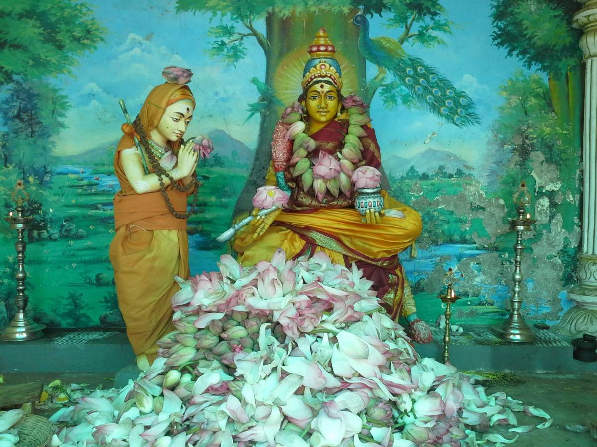 Adi Shankara Jayanthi with 1008 lotus