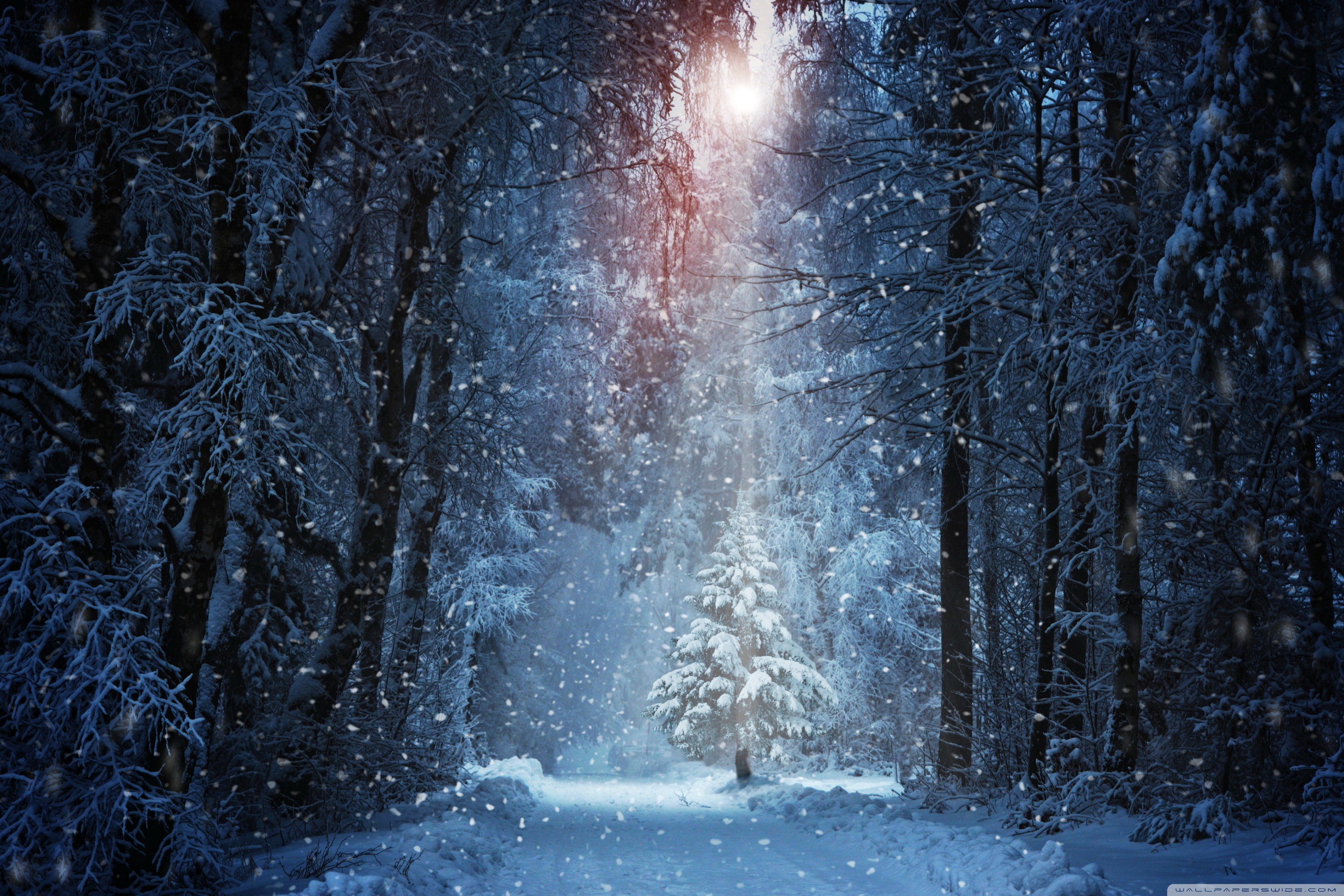 Desktop Background Wallpaper for 4K UHD