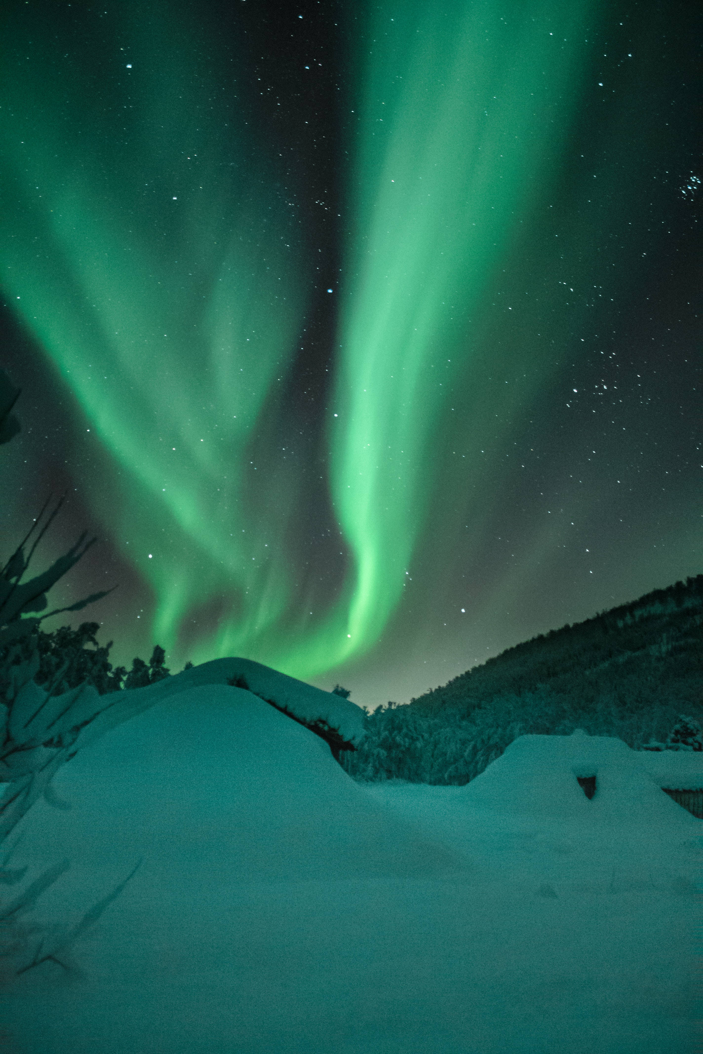 Download Northern Lights Winter Scenery