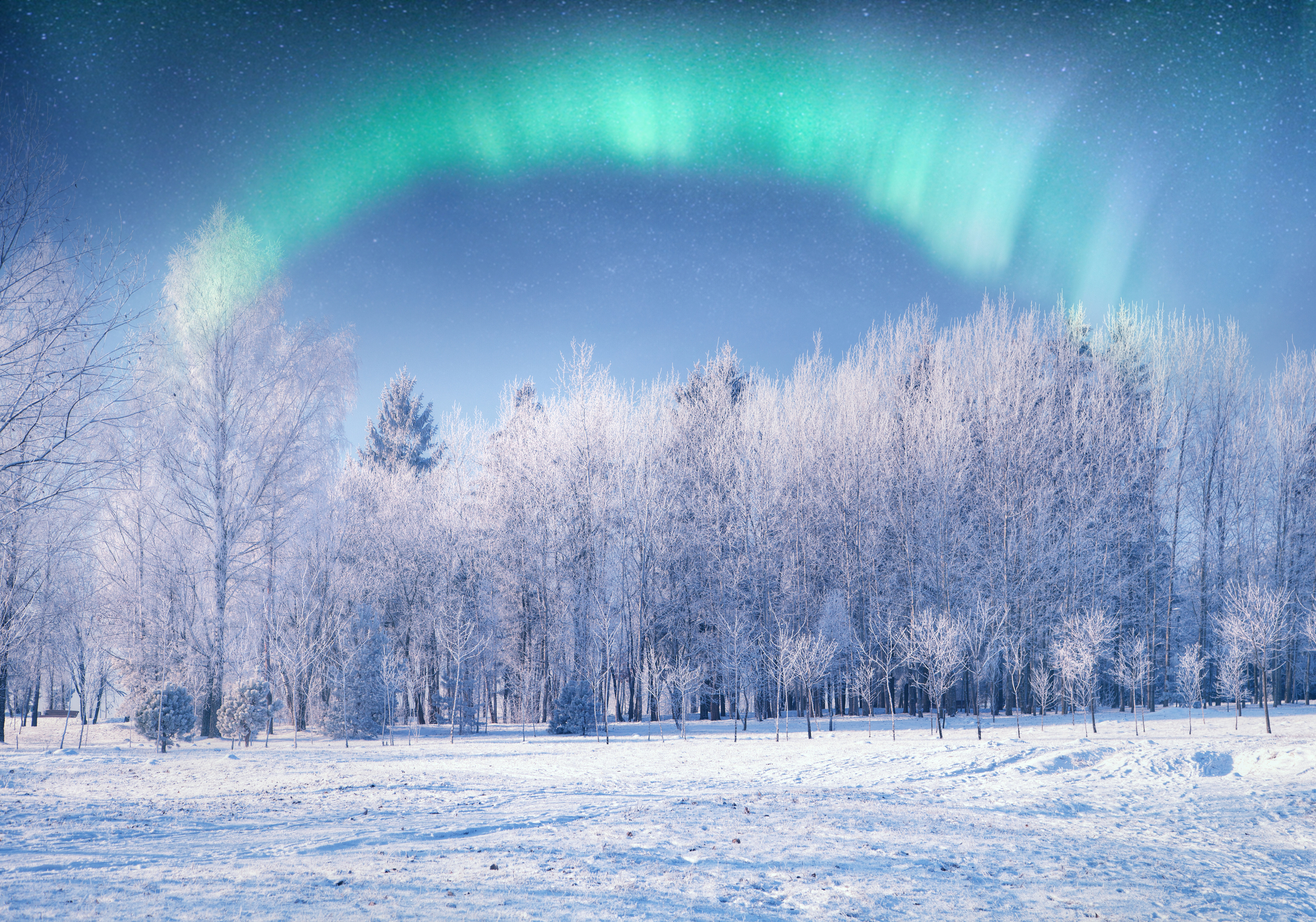 Desktop Wallpaper Aurora Winter Nature