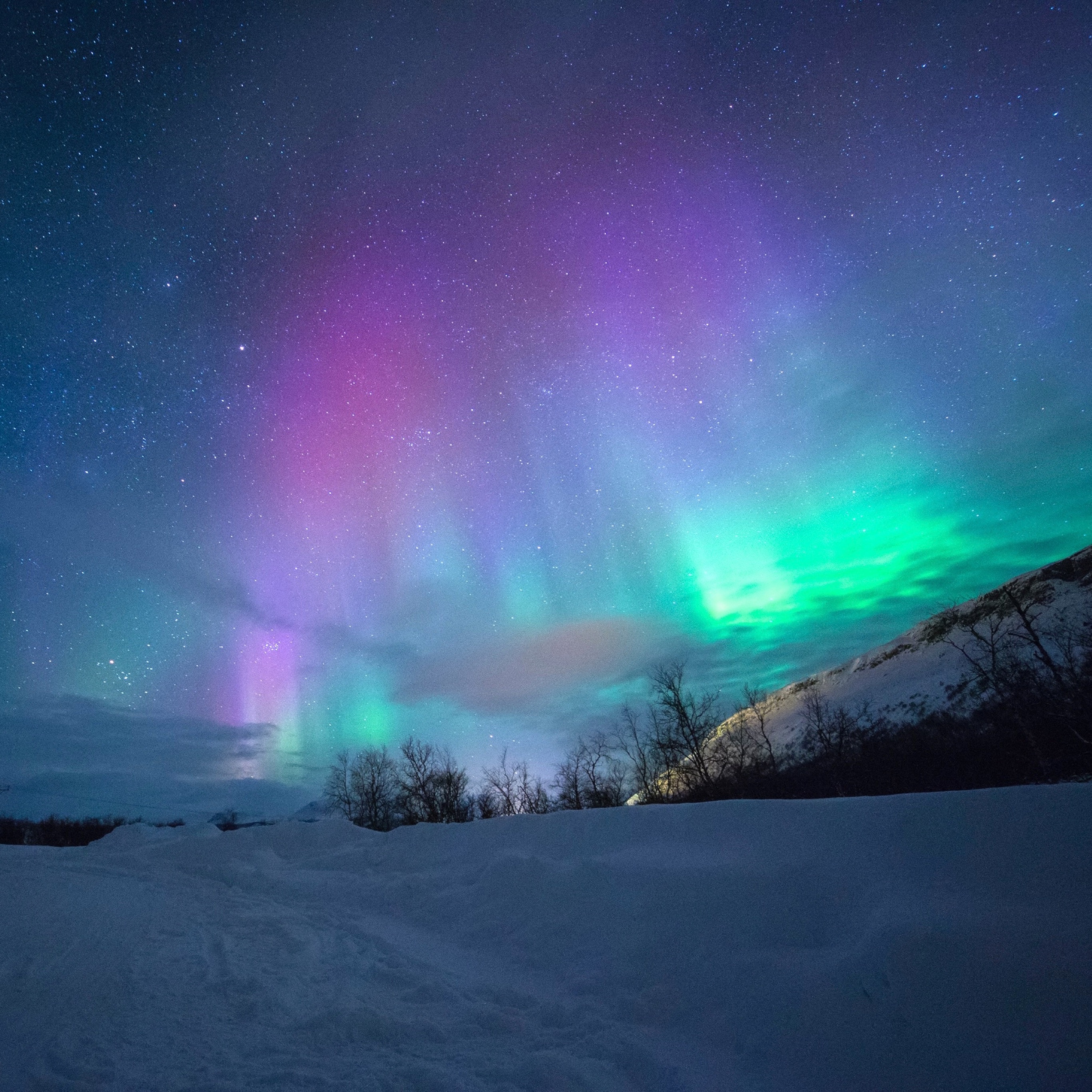 Mac, iPhone, iPad, and Apple Watch