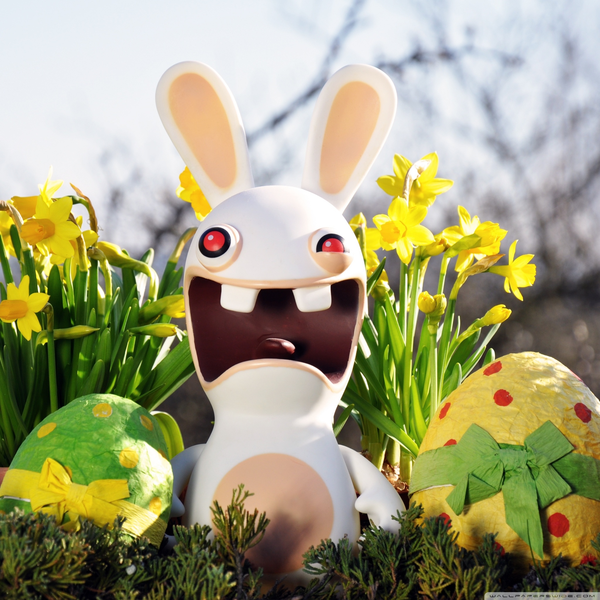 Funny Easter Bunny Ultra HD Desktop