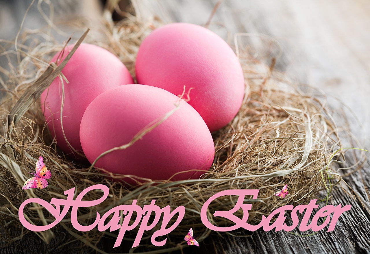 Picture Easter egg Nest Pink color Holidays
