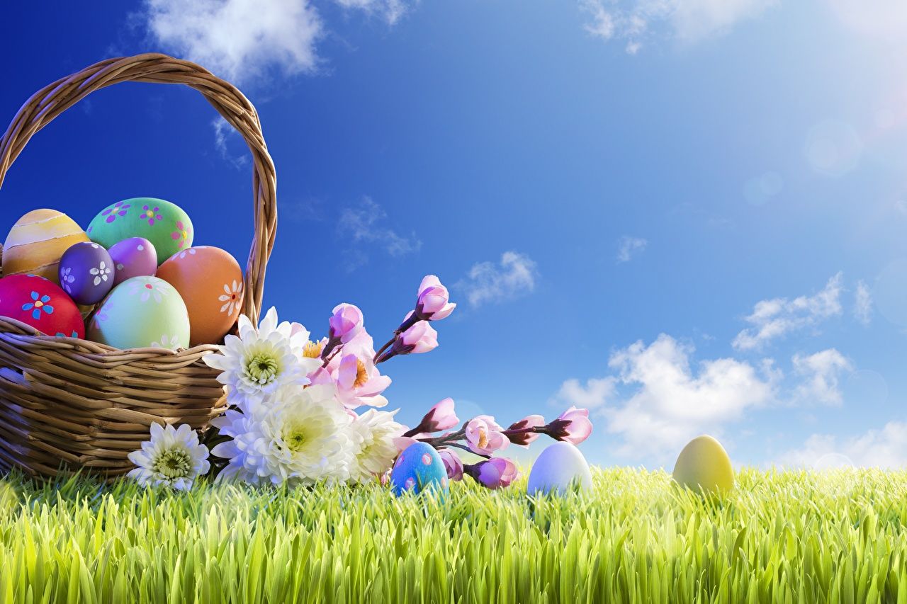 image Easter Eggs Sky Flowers Wicker