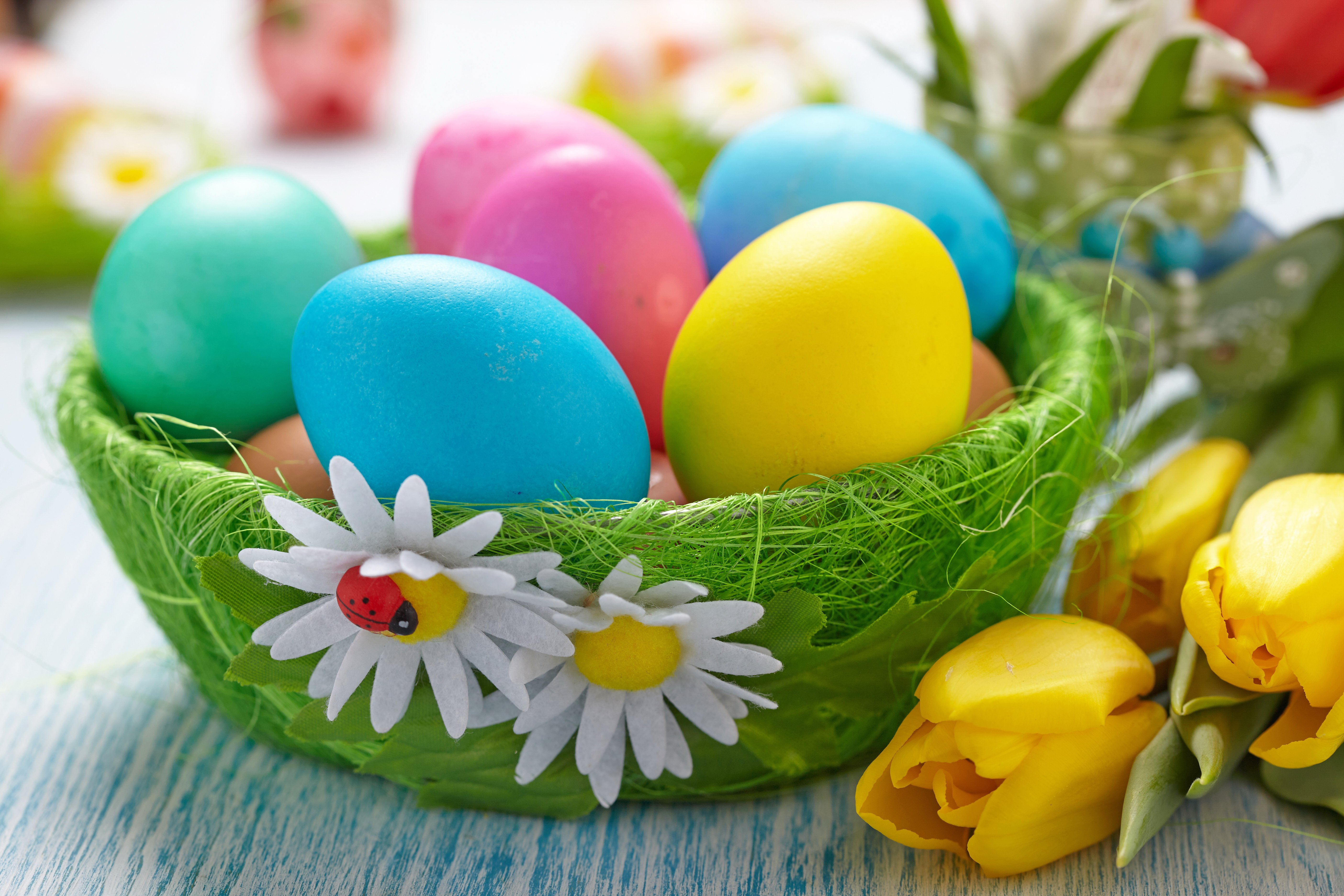 Basket Easter Tulips Eggs wallpaper
