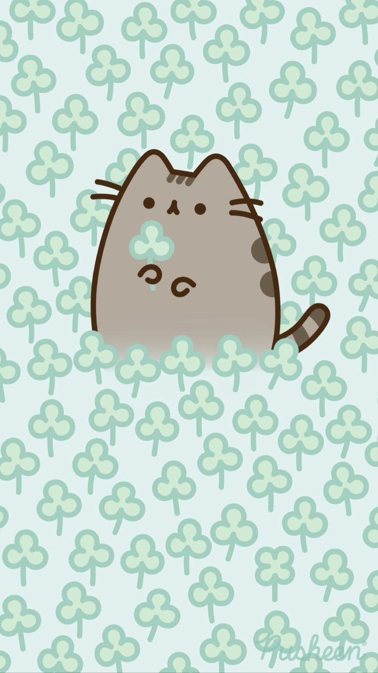 cat iphone wallpaper background