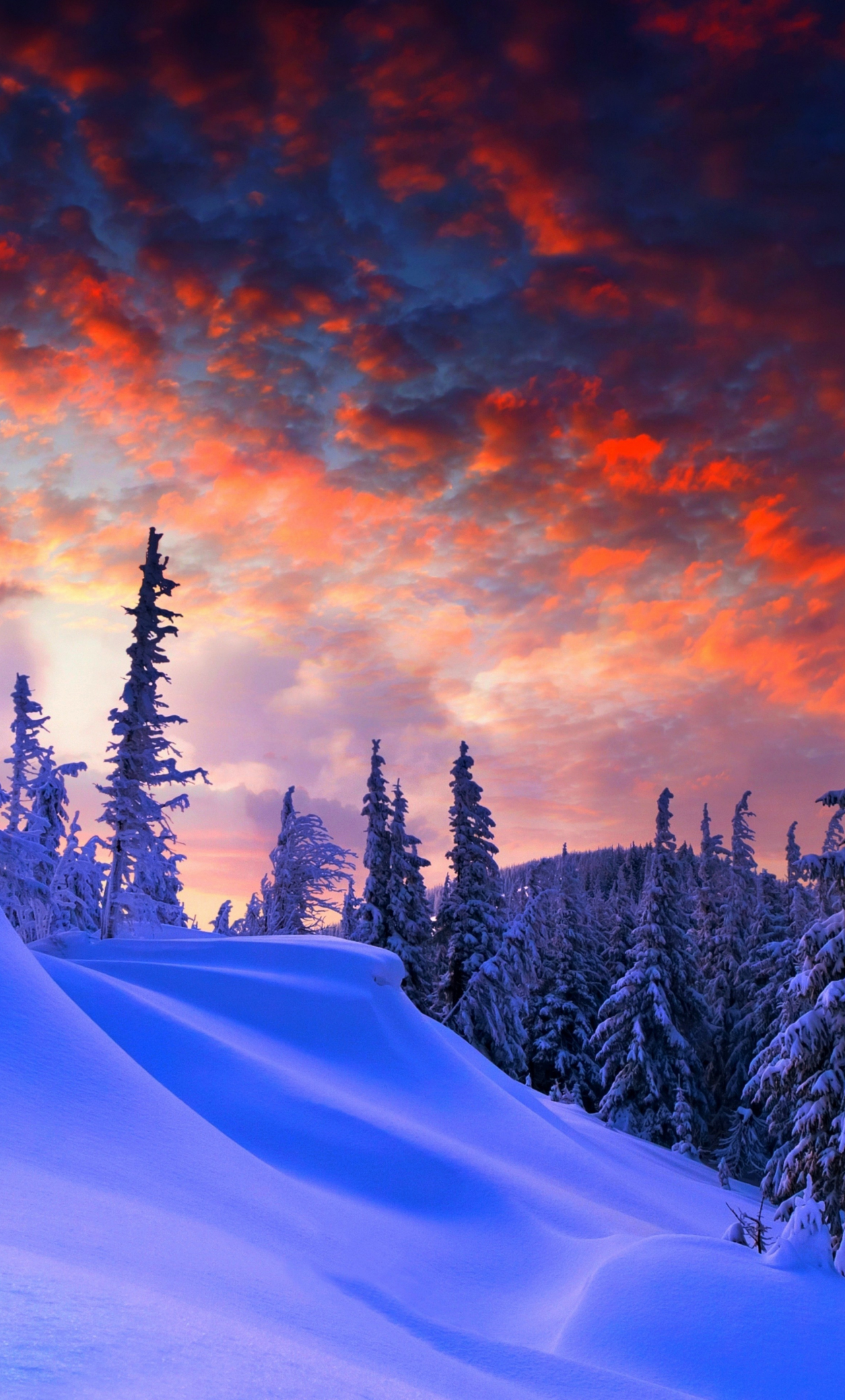 Download wallpaper 1280x2120 winter