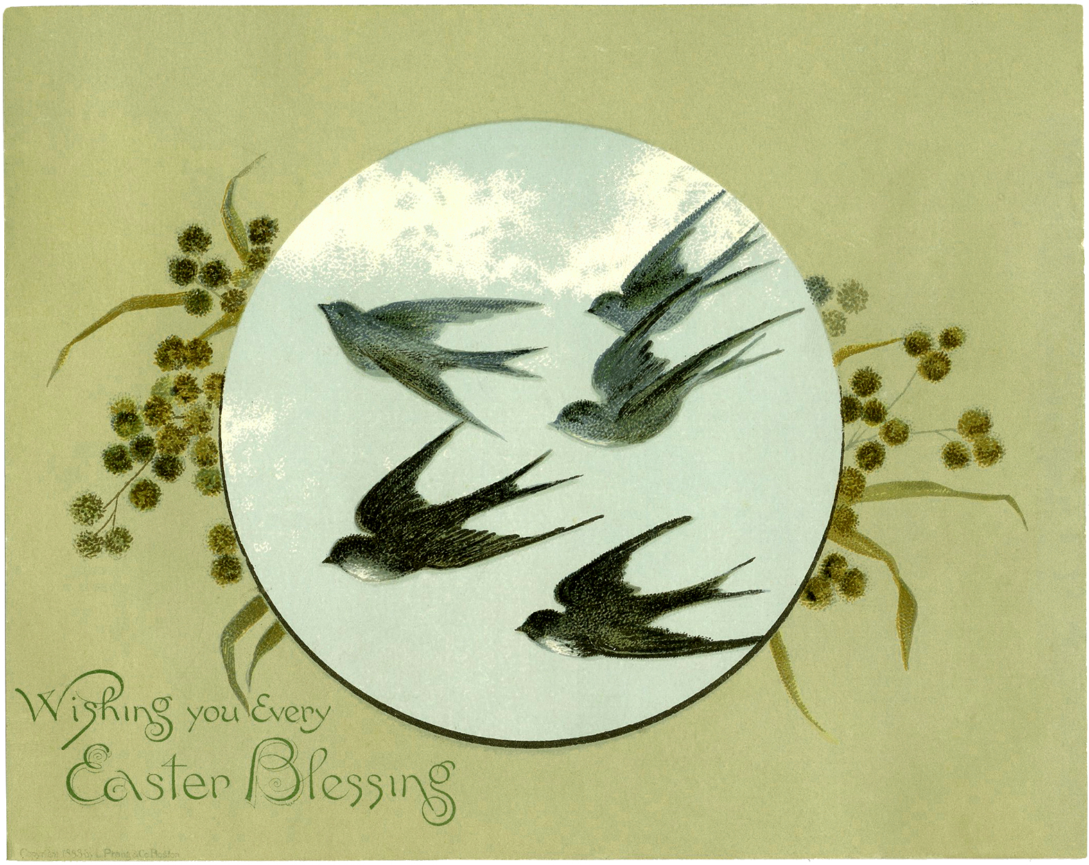 Easter Bird Image! Graphics Fairy