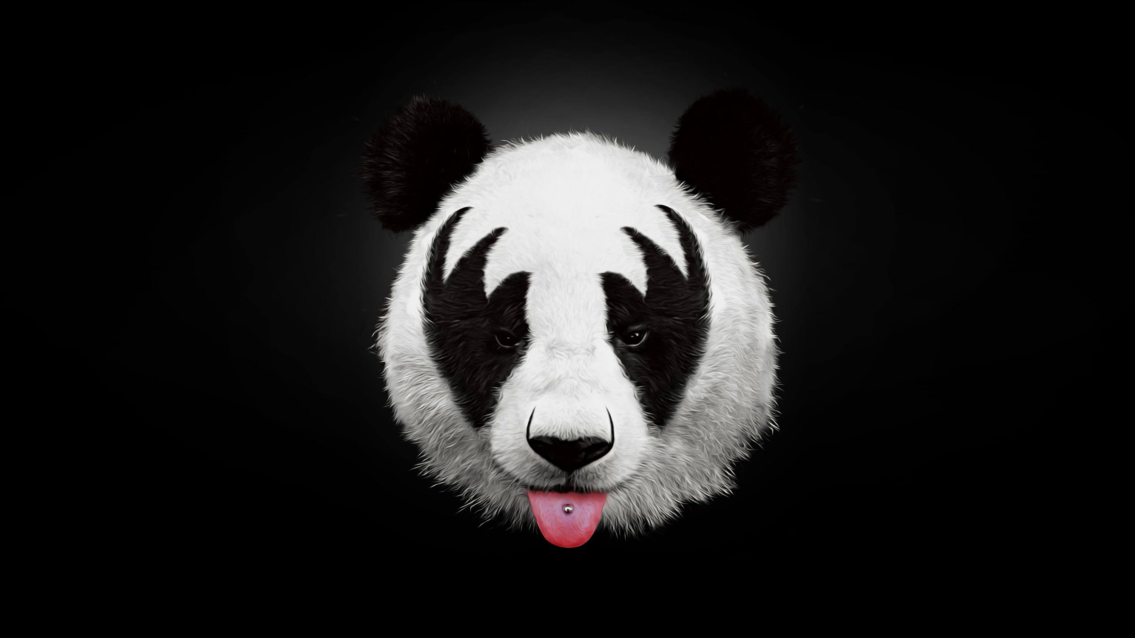 panda #animals k #artwork #artist