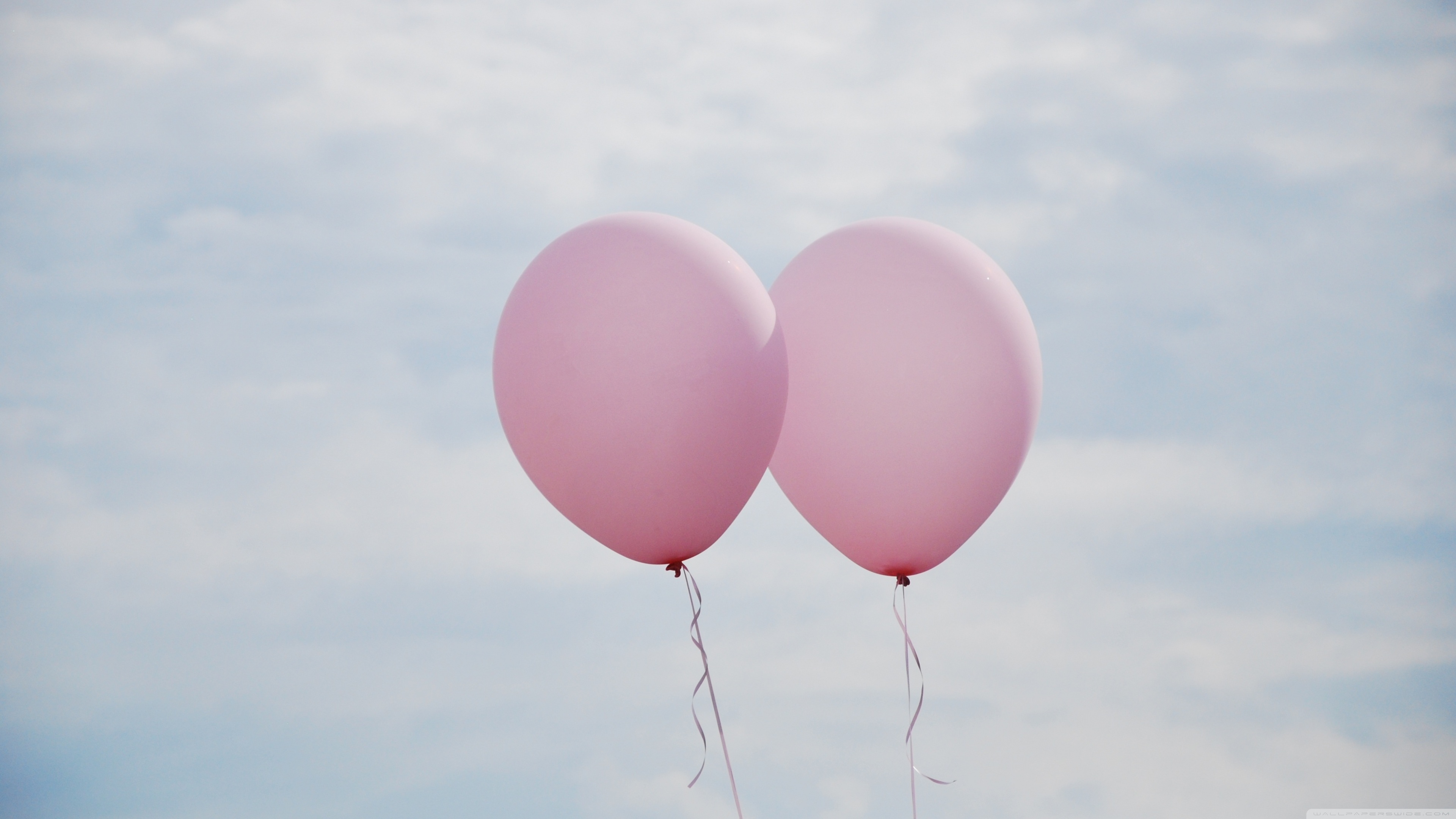Pink Balloons Ultra HD Desktop