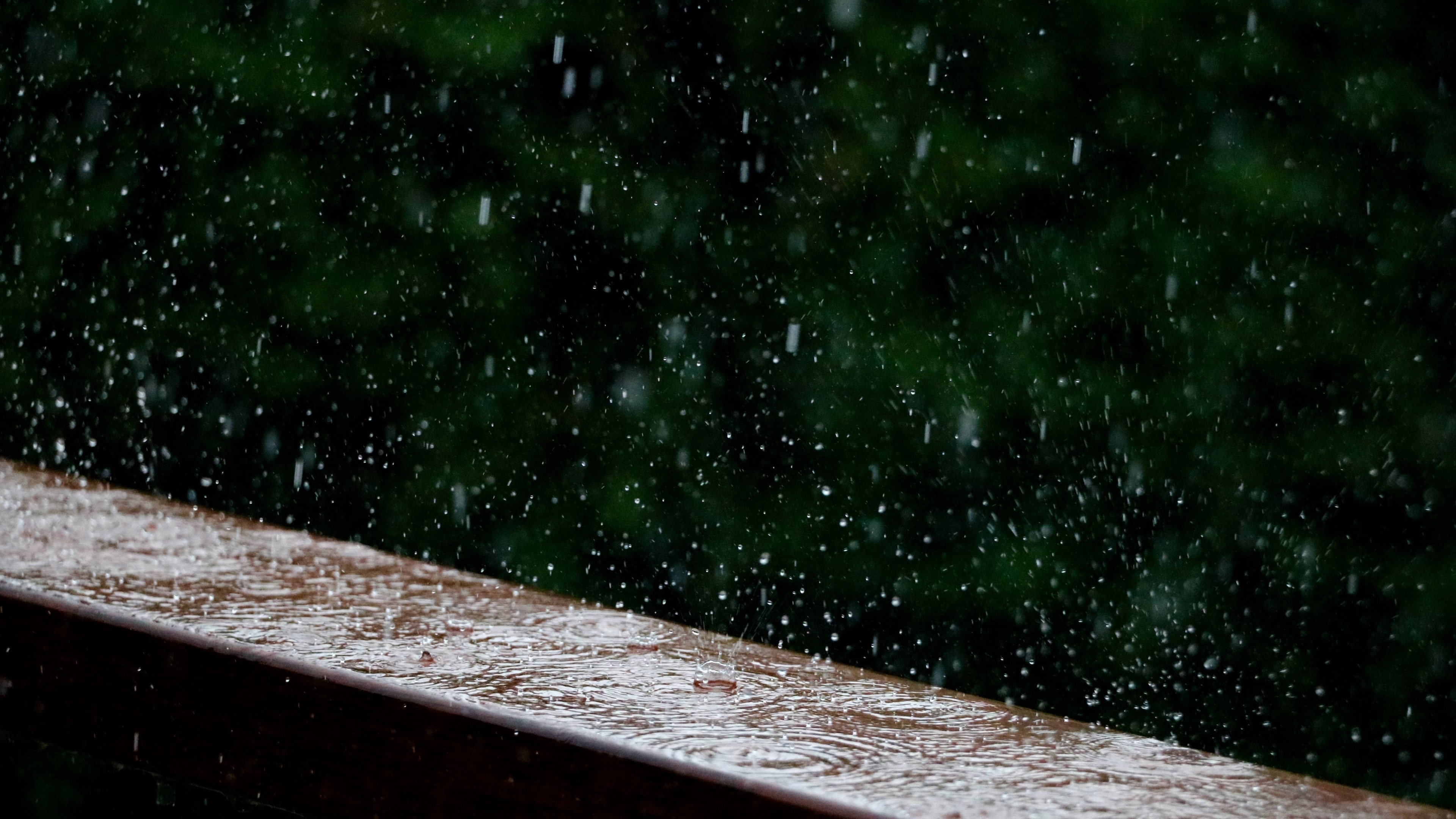 rain rain falling and nature 4k HD