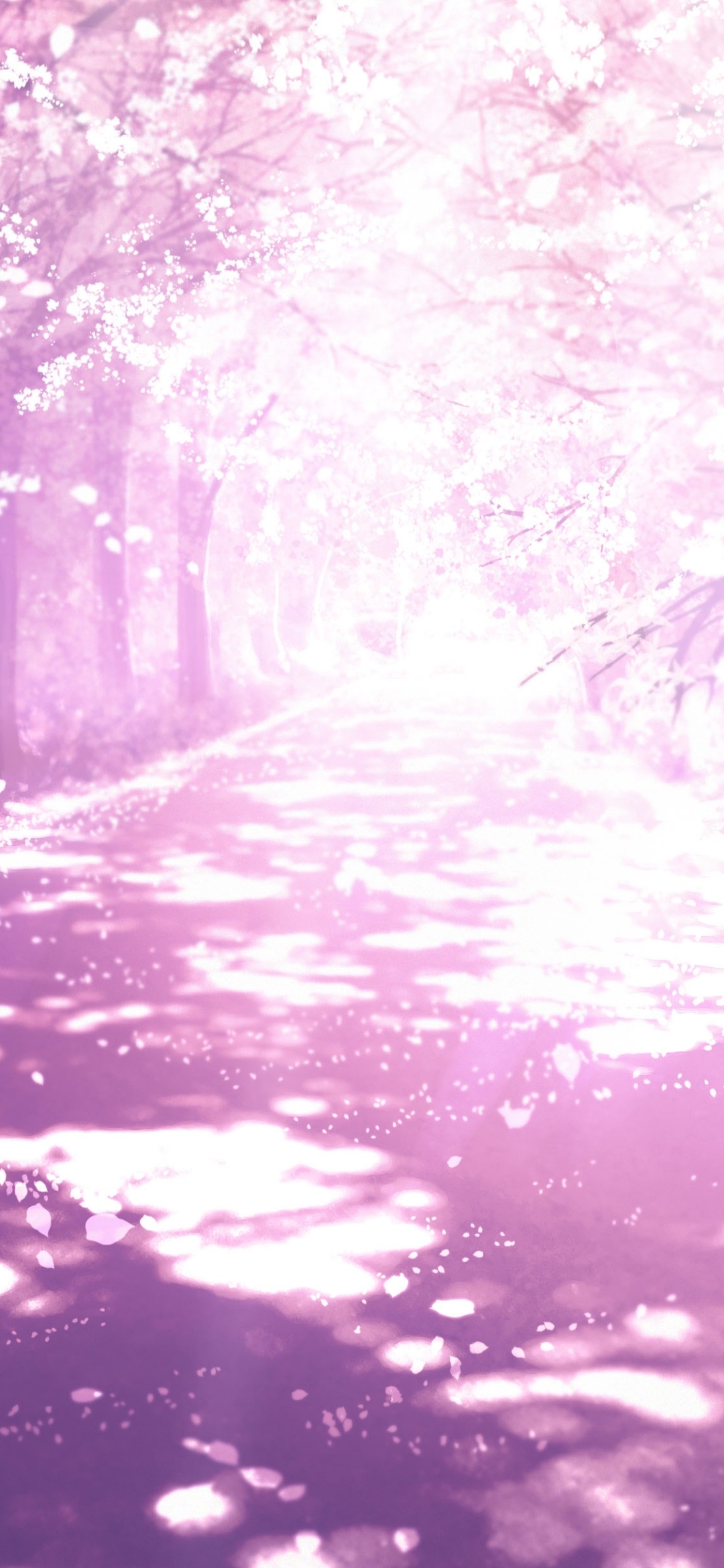 Cherry Blossom Phone Wallpaper