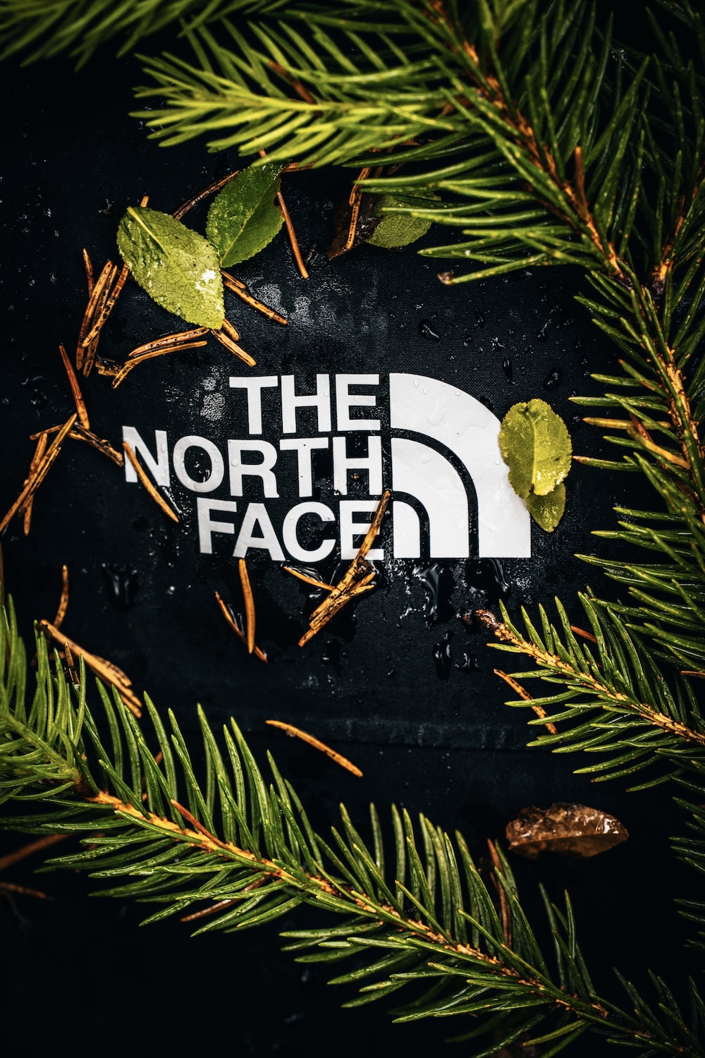 The North Face Picture. Download Free