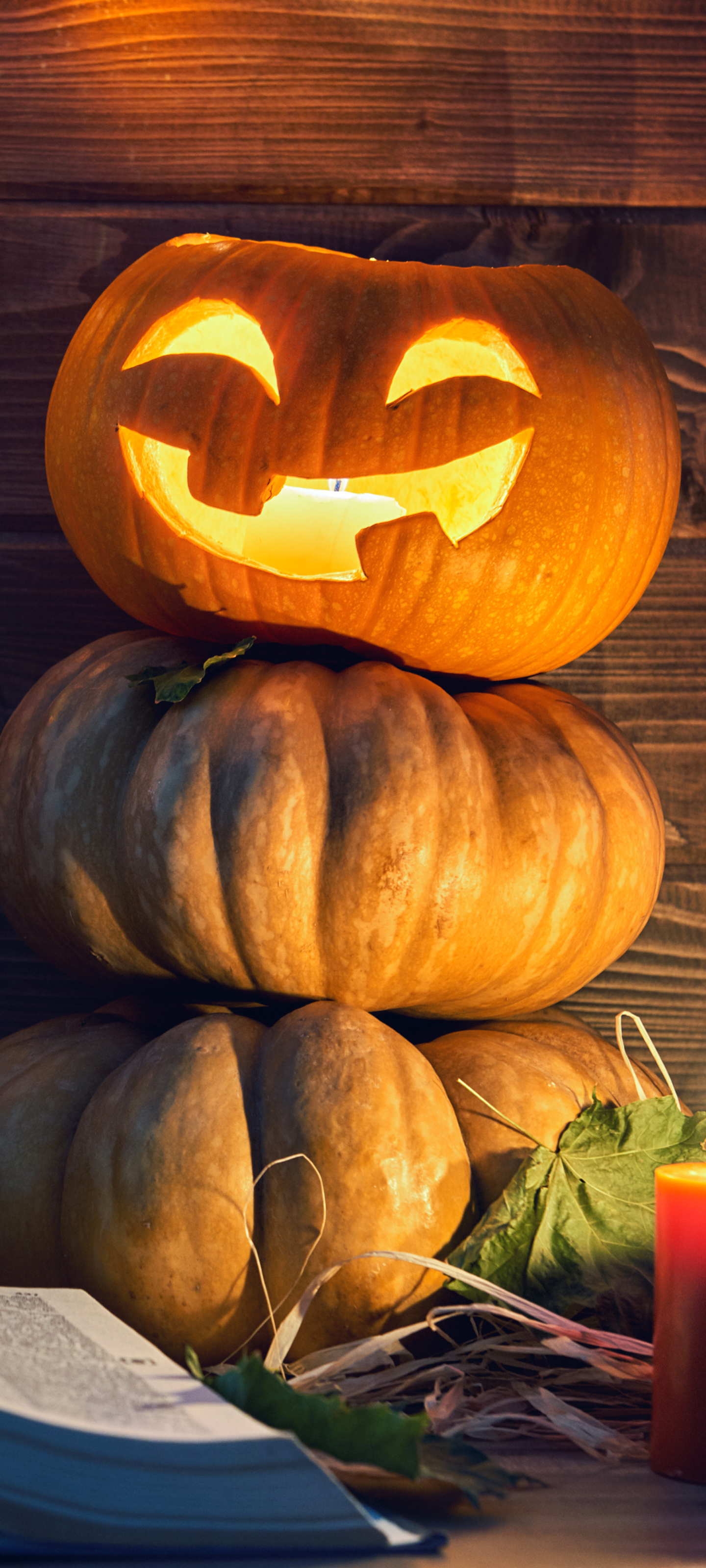 Pumpkin iPhone Wallpaper
