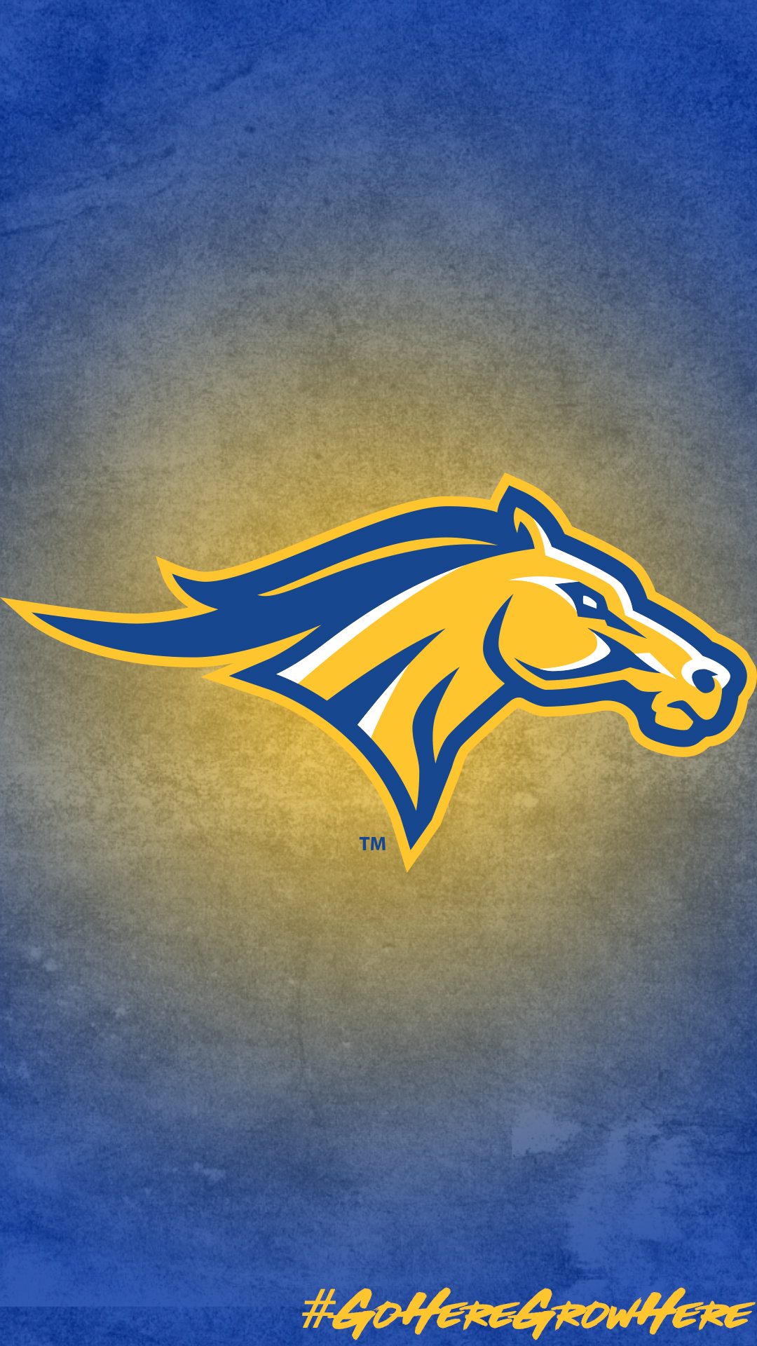 Wallpaper College Athletics